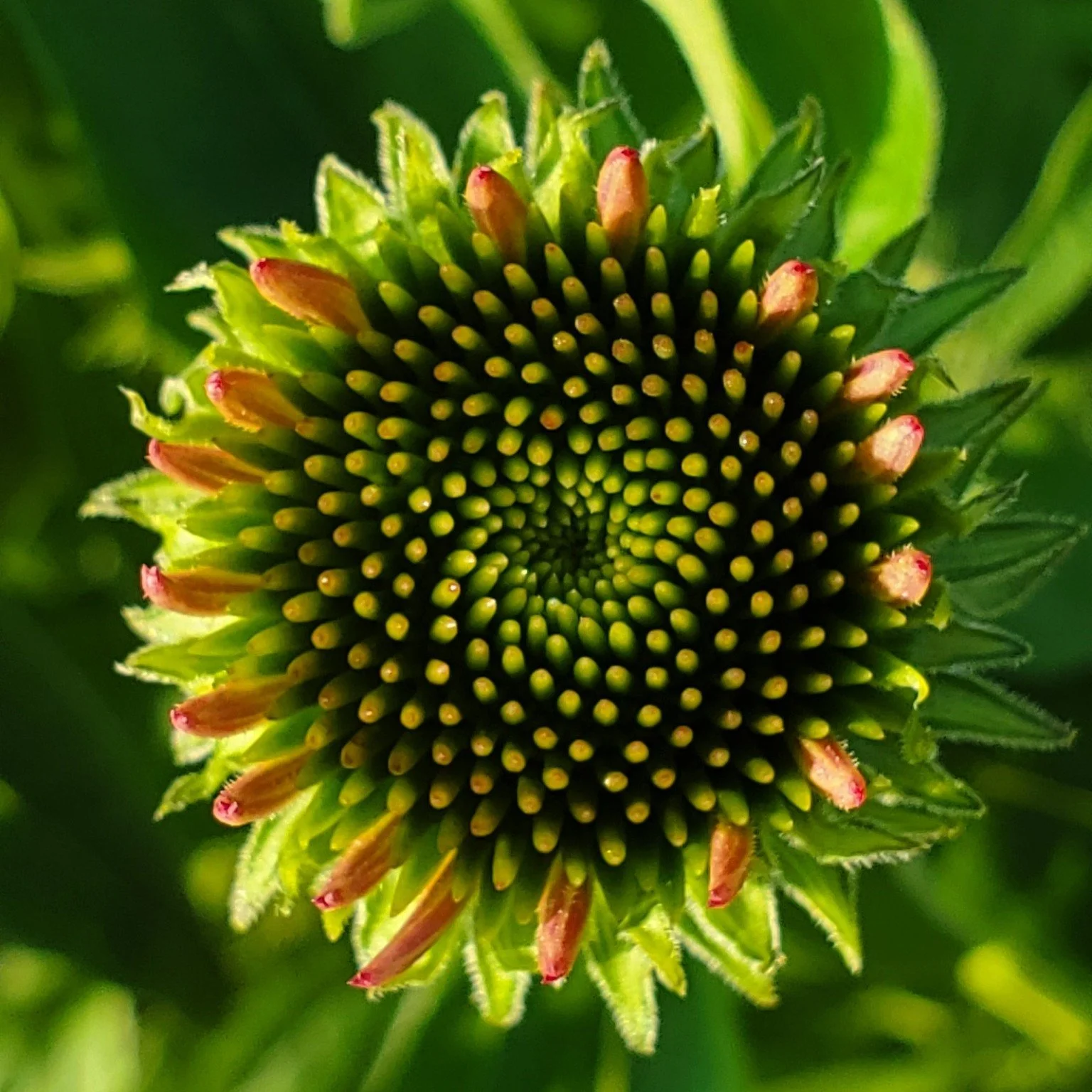 AJNA CHAKRA // THIRD-EYE 

Awaken your intuitive guide, the fire that creates your path, and your perceptions of the world around you.  Lean into the spirit of your heart-mind consciousness and uncover your inherent wisdom, contentment and strength. 