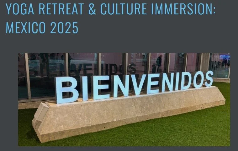 Client Testimony

My dear friend Jeremiah has traveled with Creative Nature for the past THREE Fall Retreats.  He has written a blog about his experience: 

Please read it here:
https://jeremiahelliottjr.com/mexico-yoga-retreat-2025/

Interested in j