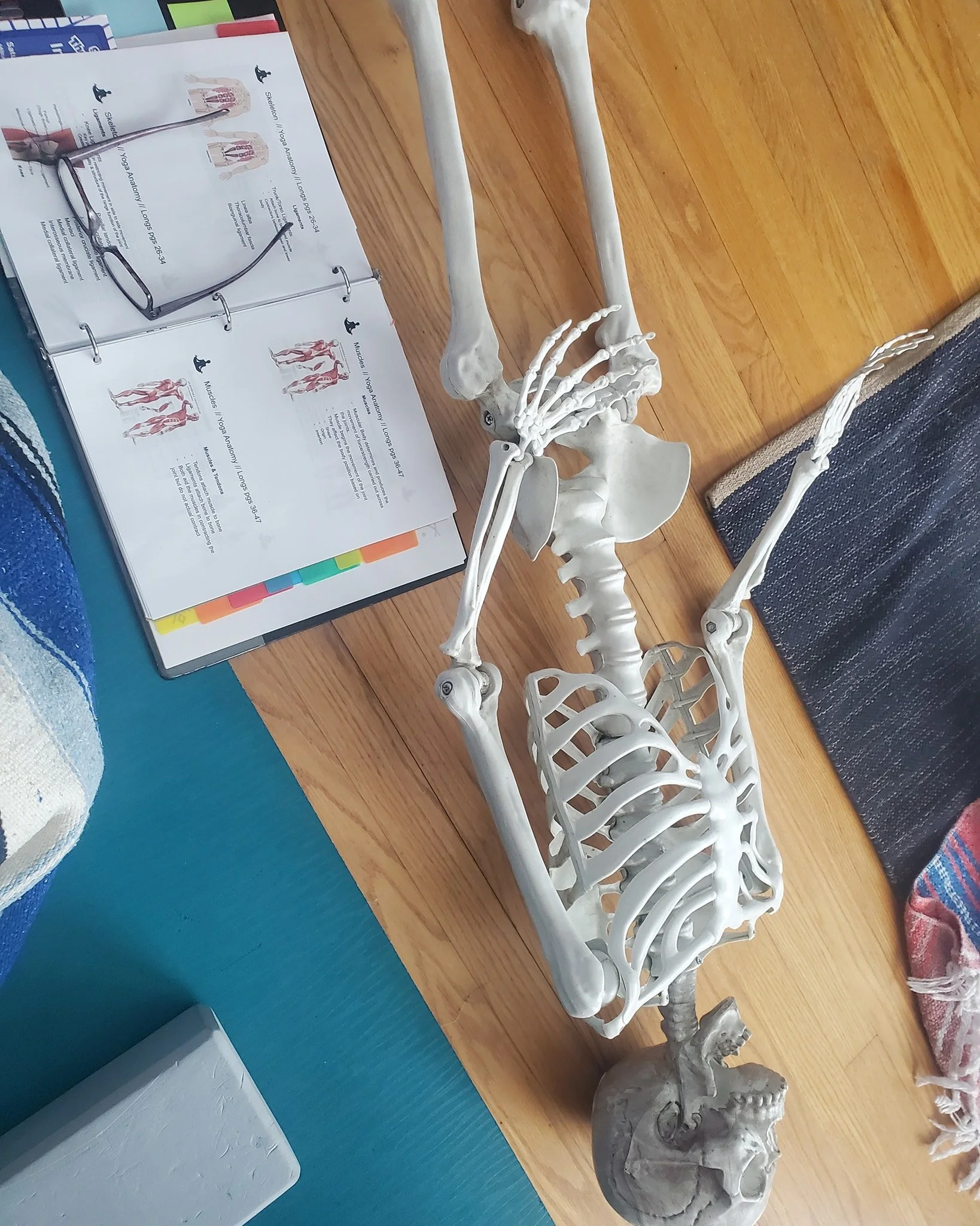 Pile of bones

Today's fun discussing anatomy and bone structure!