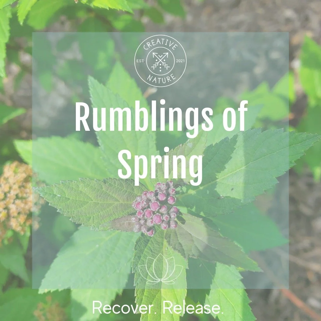 IMBOLC // RUMBLINGS OF SPRING

Within the womb of mother earth, and in the depths of your soul there comes a stirring of energy, a slow growing rumbling of the work being done beneath the surface that beckon the blossoms of early Spring, both in the 