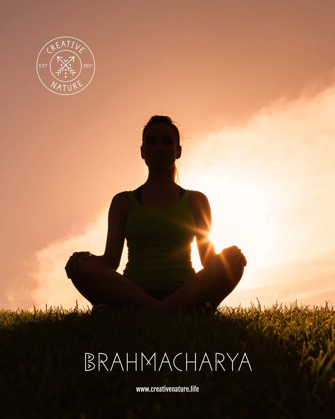 BRAHMACHARYA // NON-EXCESS // MODERATION

The early rumblings of spring remind us that living in excess drains vital energy, physically, mentally, and spiritually. 

A practice of brahmacharya is an invitation to clear space internally and externally
