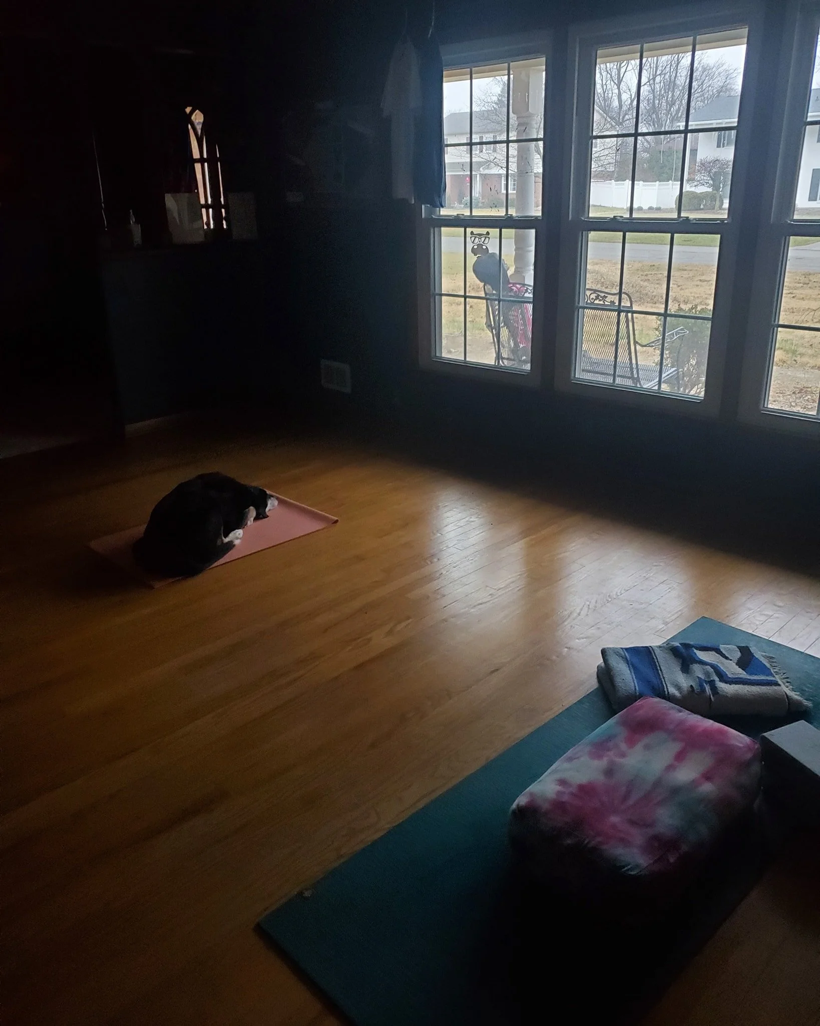 DAILY MEDITATION 

Even Don Quixote, my little best friend, likes to show up on the mat.

That's all it takes.

Just show up.

And repeat!

#yogadog #getonyourmat #dailypractices #showup #ritual #meditatedaily