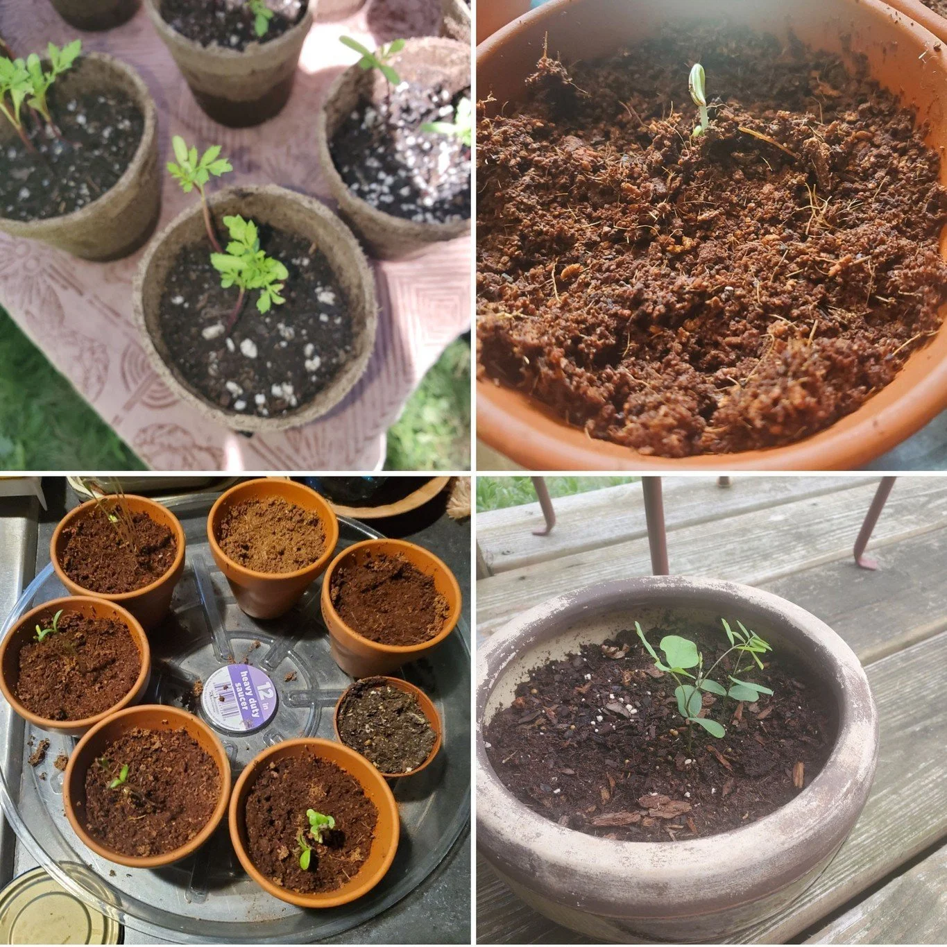 NATURE RHYTHM // ALGORITHM

We have always belonged to an algorithm, long before digital technology.  We ebbed and flowed with the waves of nature's cycles.  We created our own rhythm to match the rhythm of the earth, and of each other.

A little sec