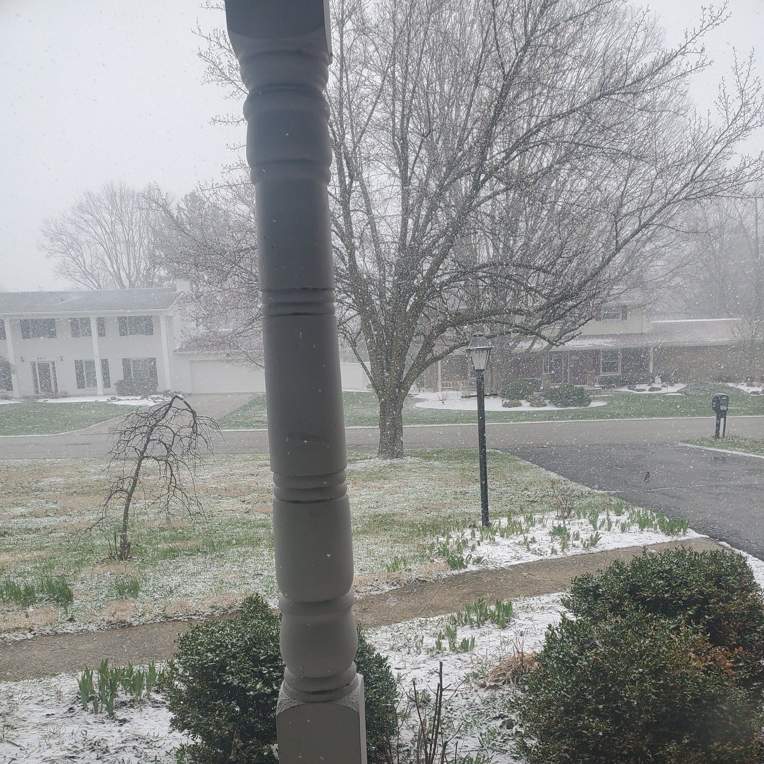 Cyclical &amp; Rhythmic

Nature never makes mistakes.  She adapts.  She adjusts.  Much like water, Nature is fluid.  She responds and moves.

Every year we experience this tug of war between winter weather and the spring for which most so desperately