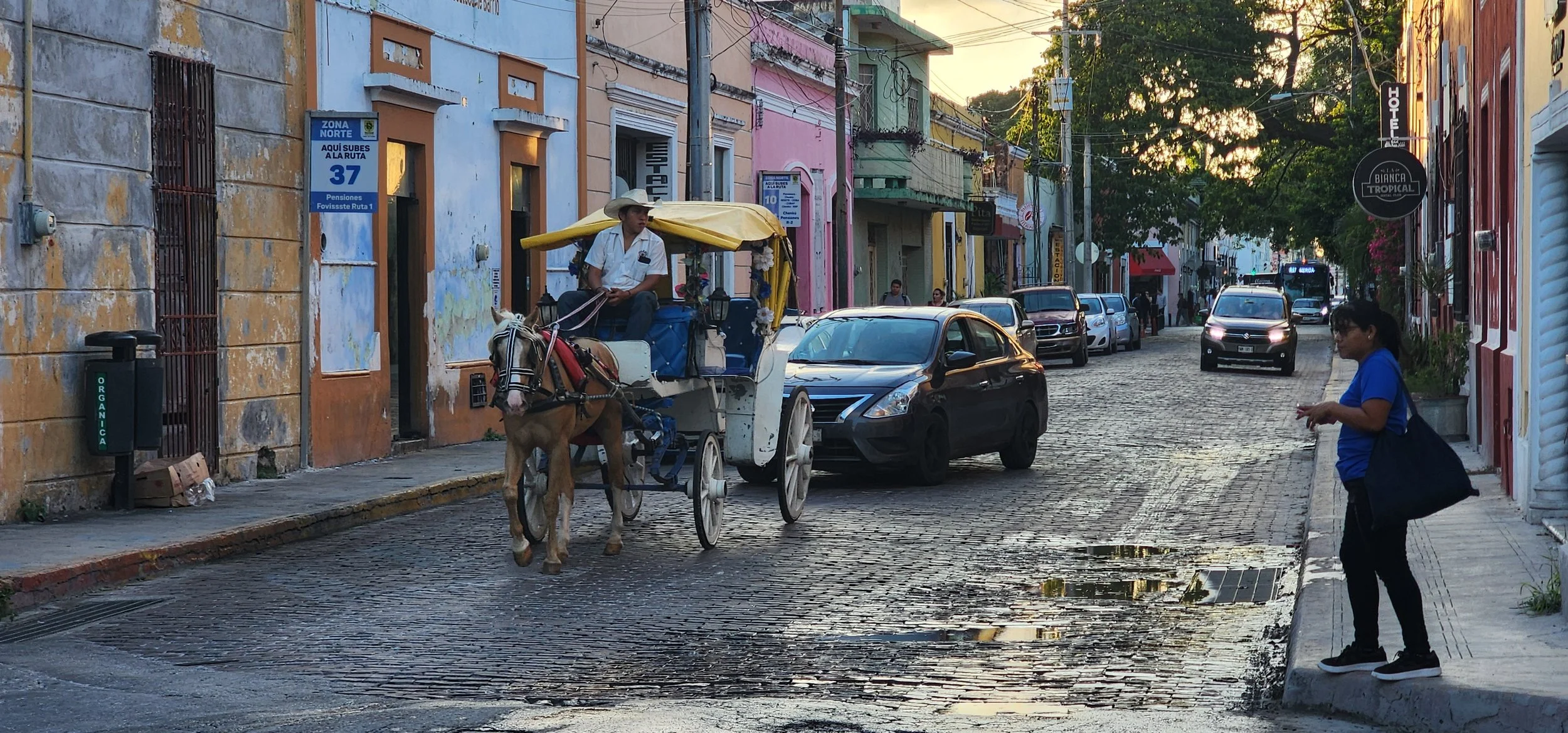 street activity.jpg