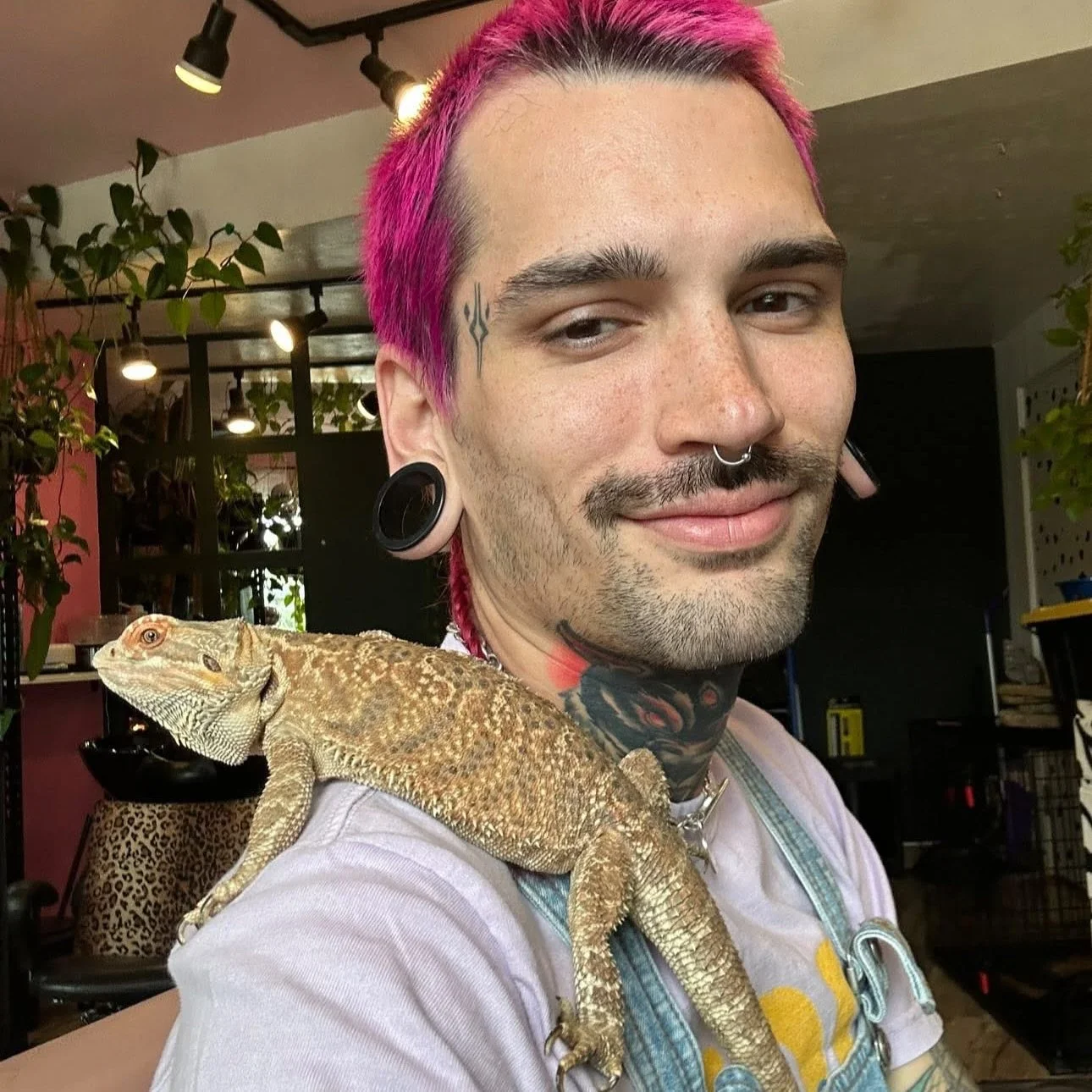 Hey everyone! 👋 First post in three months. 😳

Starting this small rescue at the beginning of the year was a dream come true, but I have to admit that things became overwhelming this summer. I was getting 20&ndash;30 surrender requests at a time, a