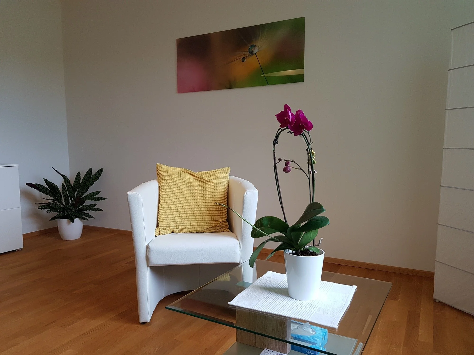 Liebenauer Hauptstraße 283a
8041 Graz