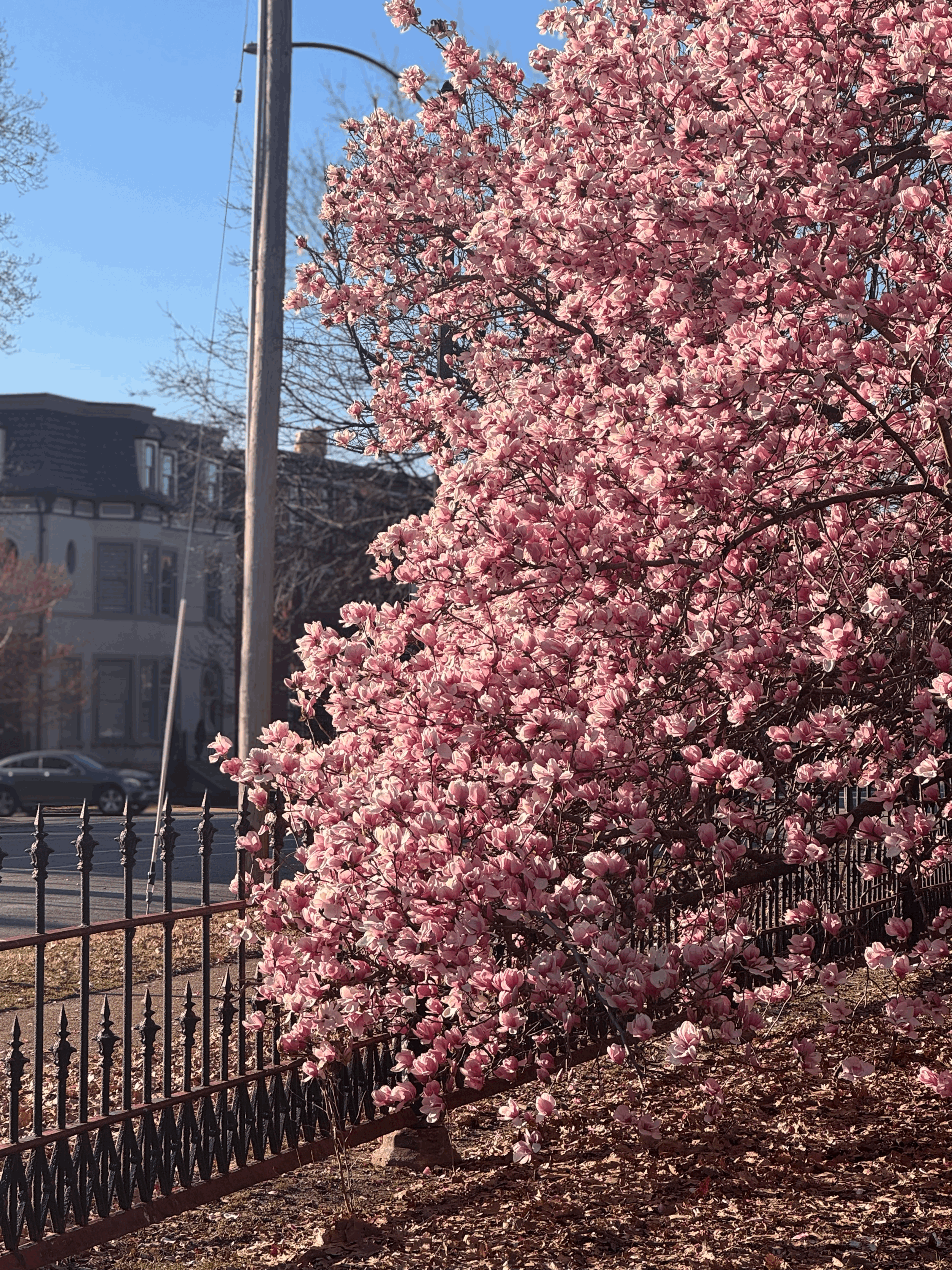 Title: To Be Announced