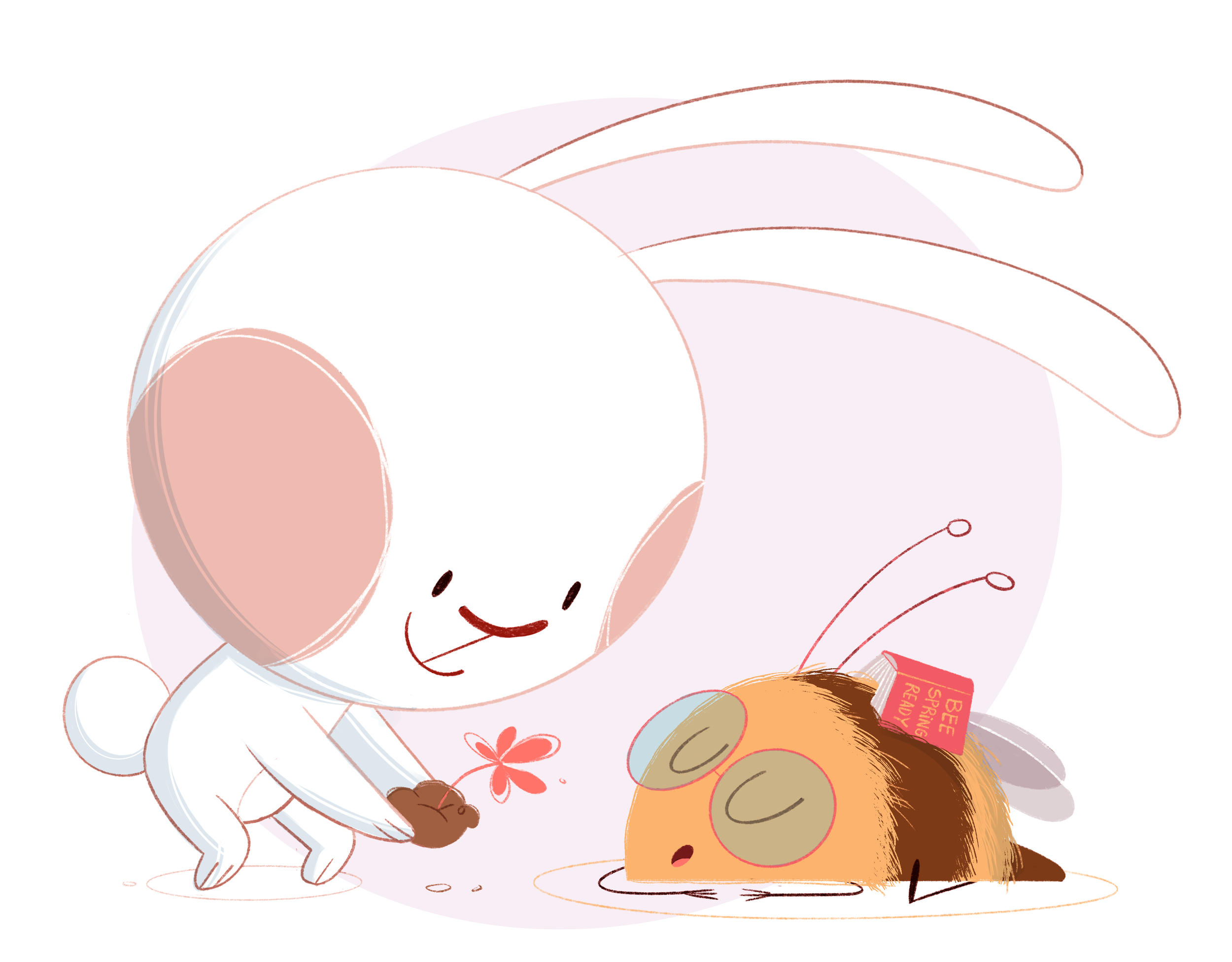 IMG_3343.PNG