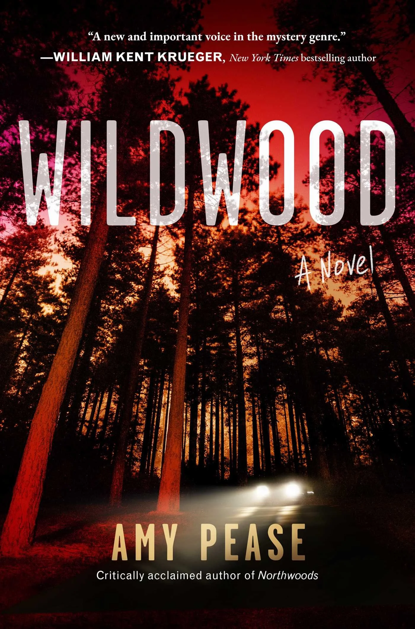 A book cover with a background of a sunset or sunrise sky visible through tall trees in a forest. The title of the book is 'WILDWOOD' in large white letters, with the subtitle 'A Novel' in smaller white script. The author's name, 'AMY PEASE,' appears at the bottom, with a tagline indicating she is the critically acclaimed author of 'Northwoods.' A quote from William Kent Krueger praising the book is at the top.