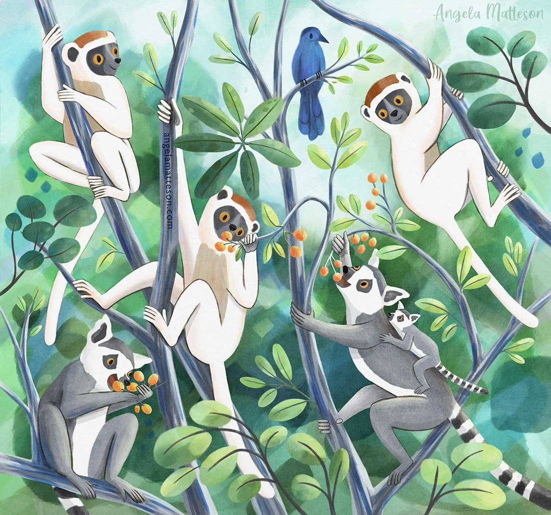 2026Madagascar_lemurs_AngelaMatteson.jpg