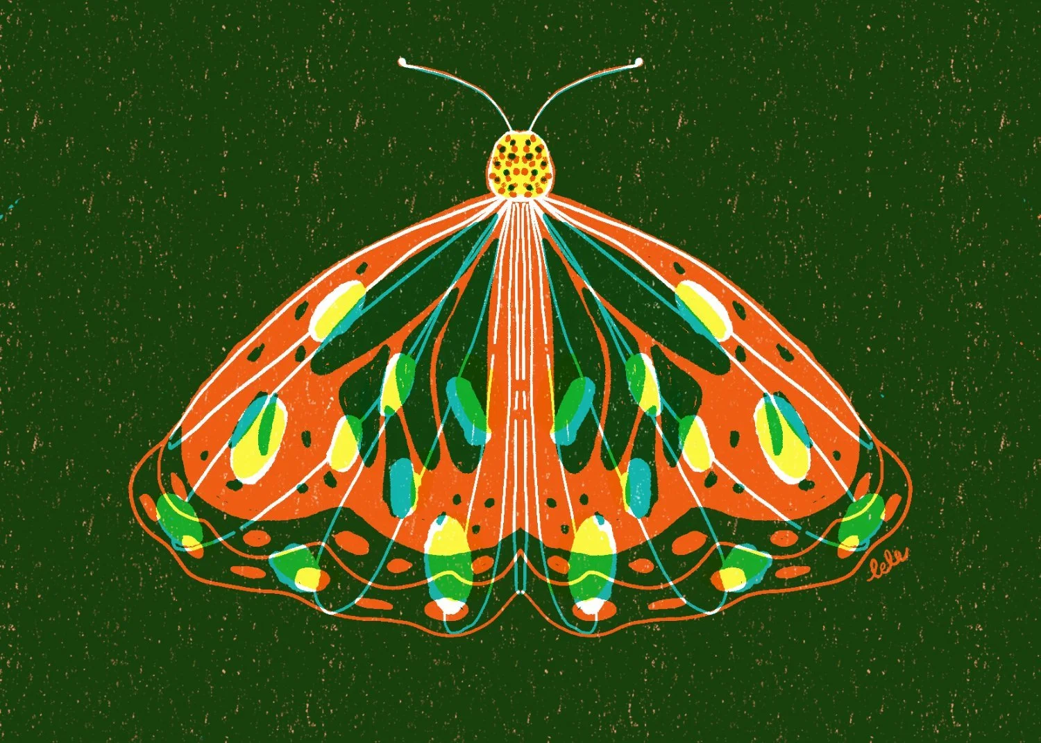 Website_Butterfly_Saa.jpg