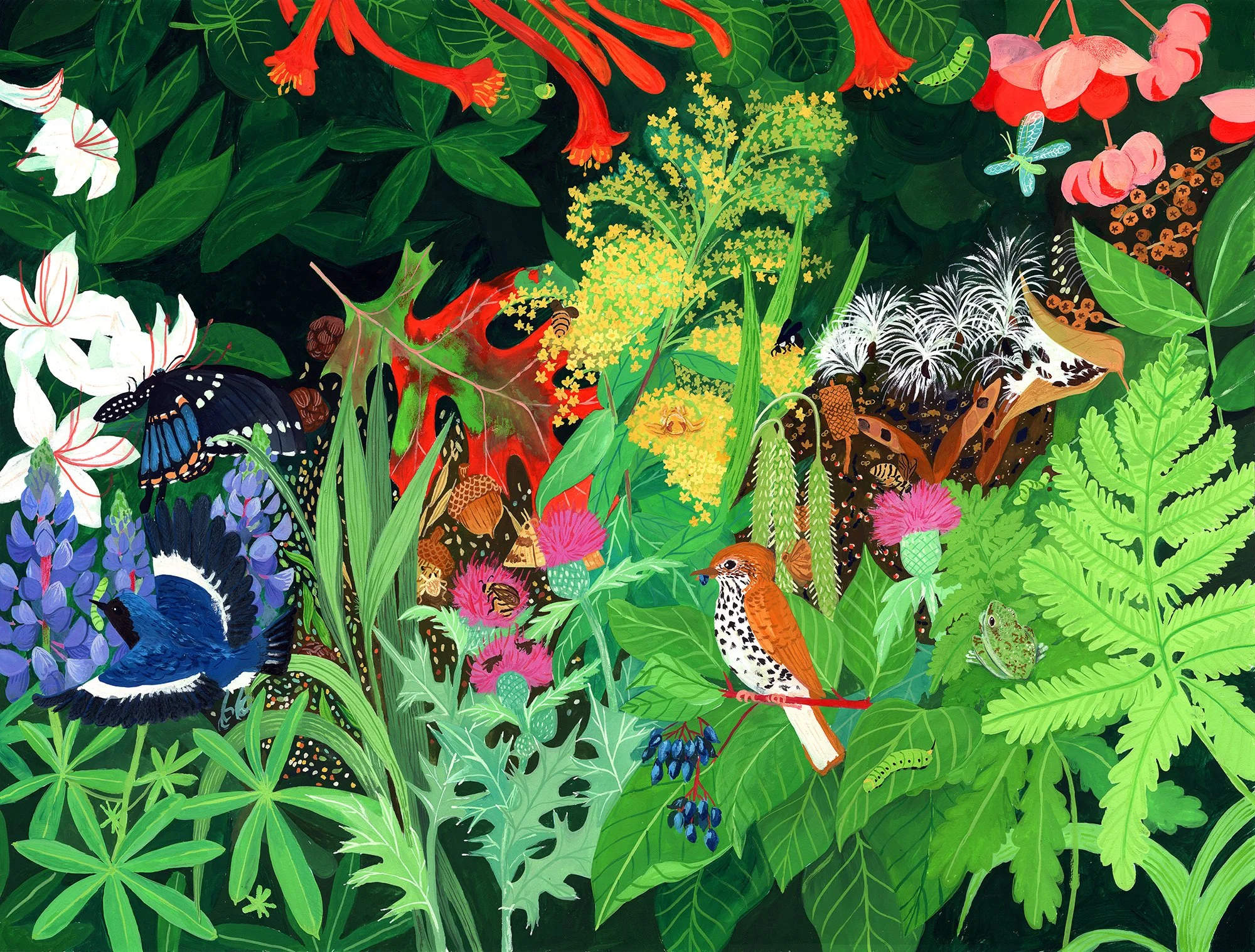 WildSeedProject_Cover_FinalArt_Small.jpg