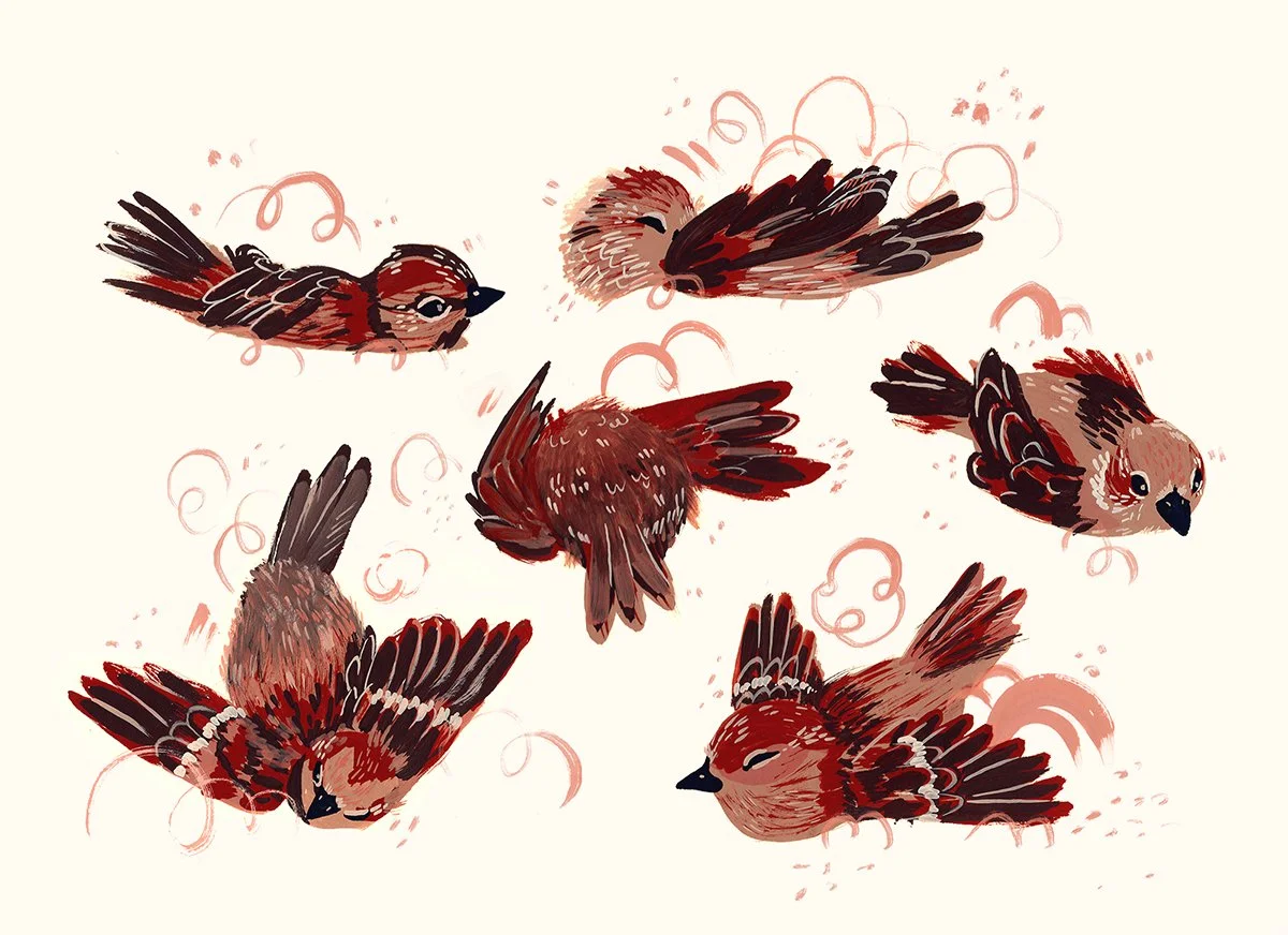JulianPlum_Sparrow.jpg