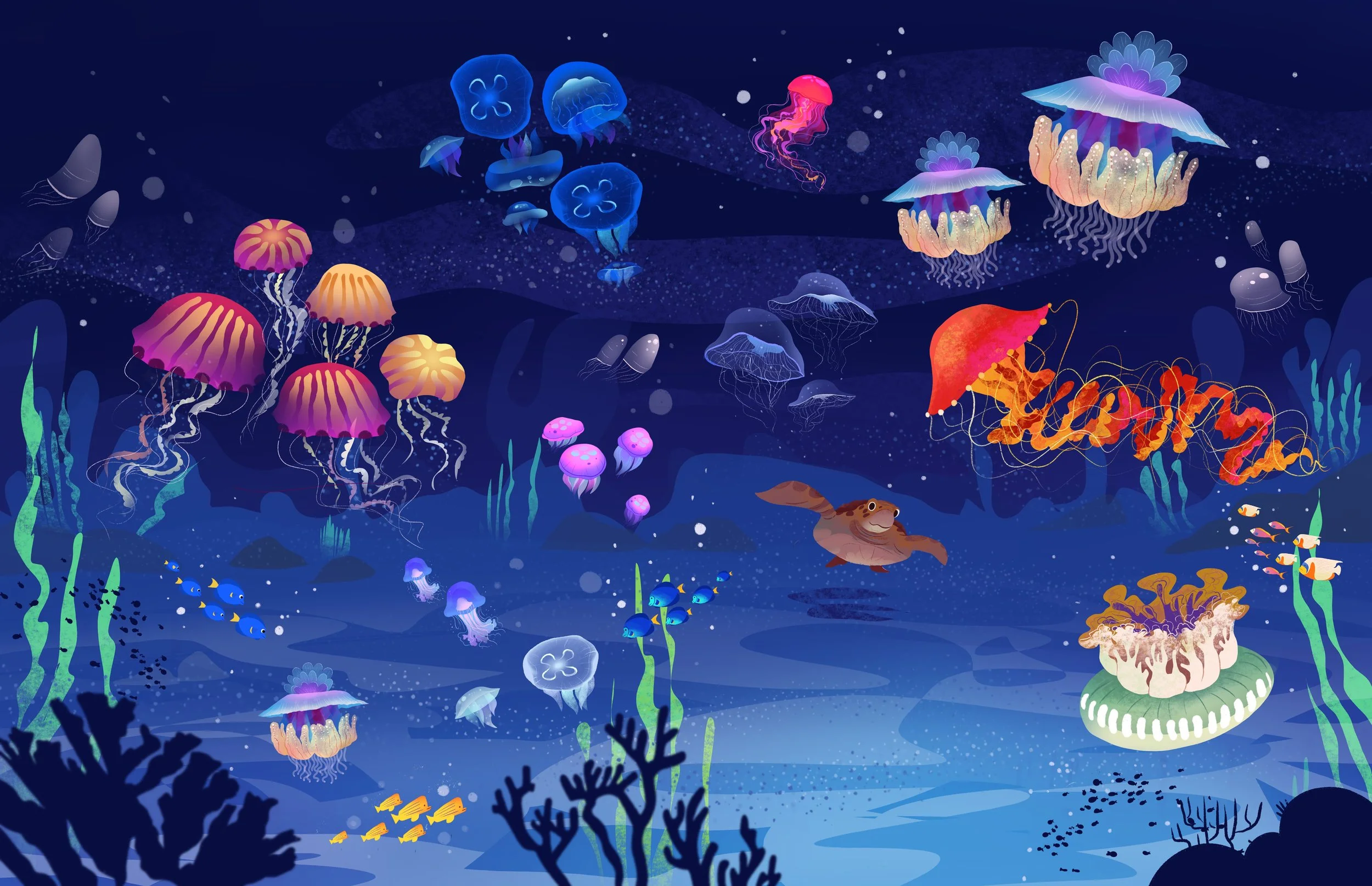 JELLYFISH_.jpg