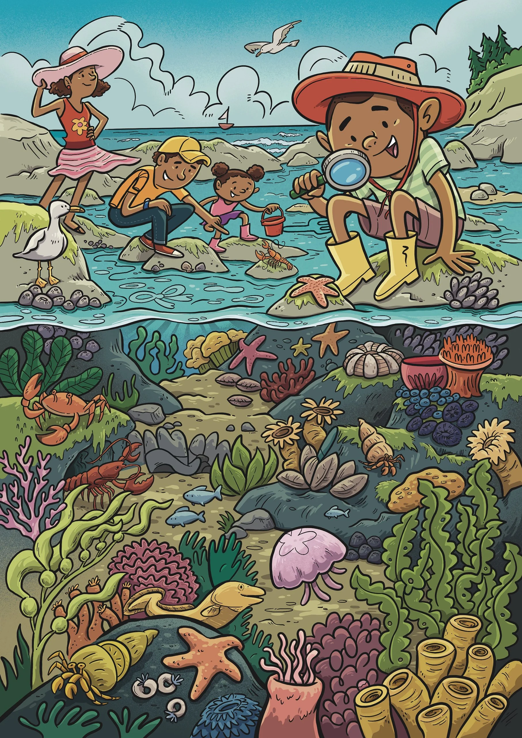 McDee-TidePools.JPG