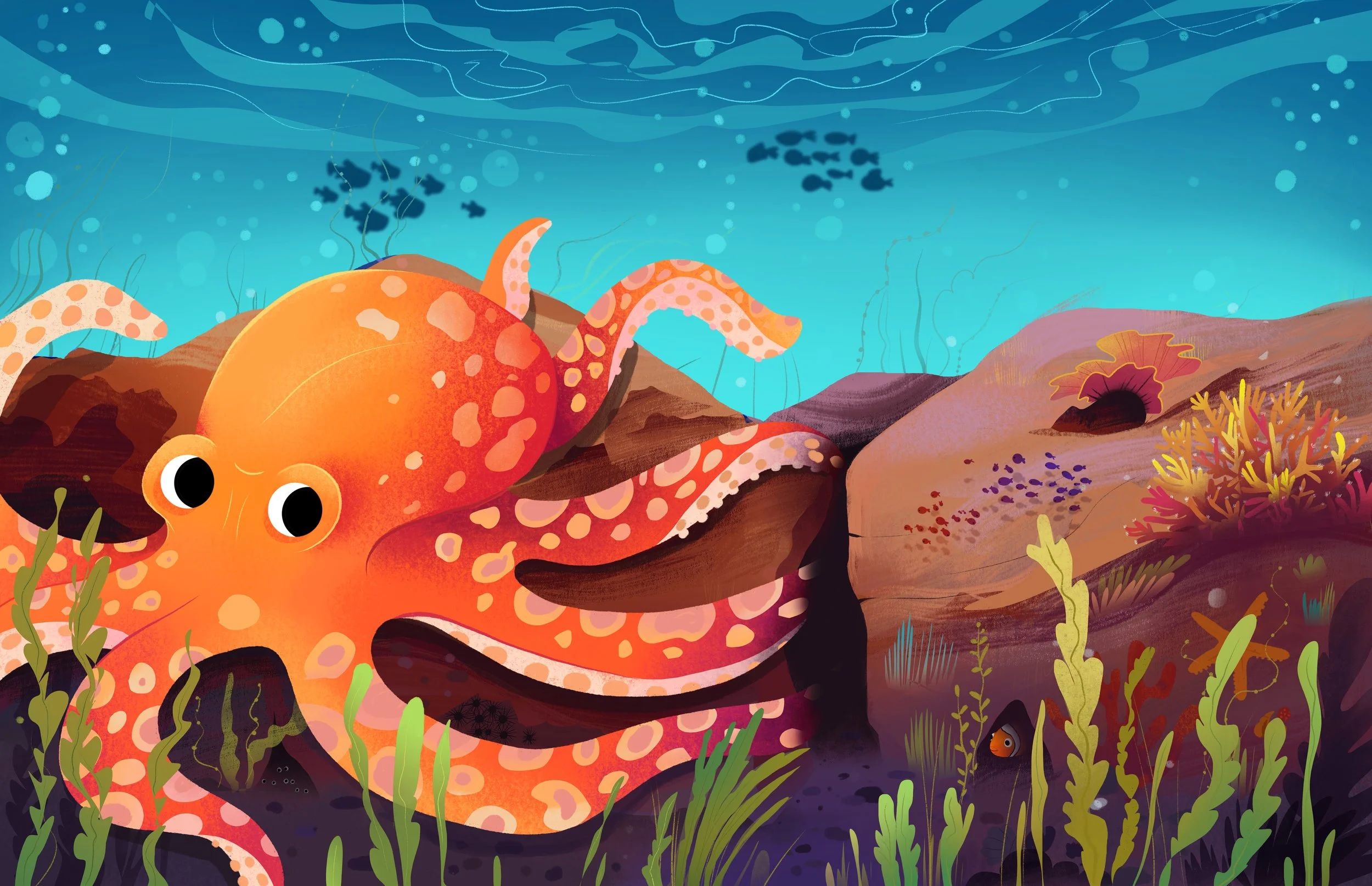 OCTOPUS_.jpg