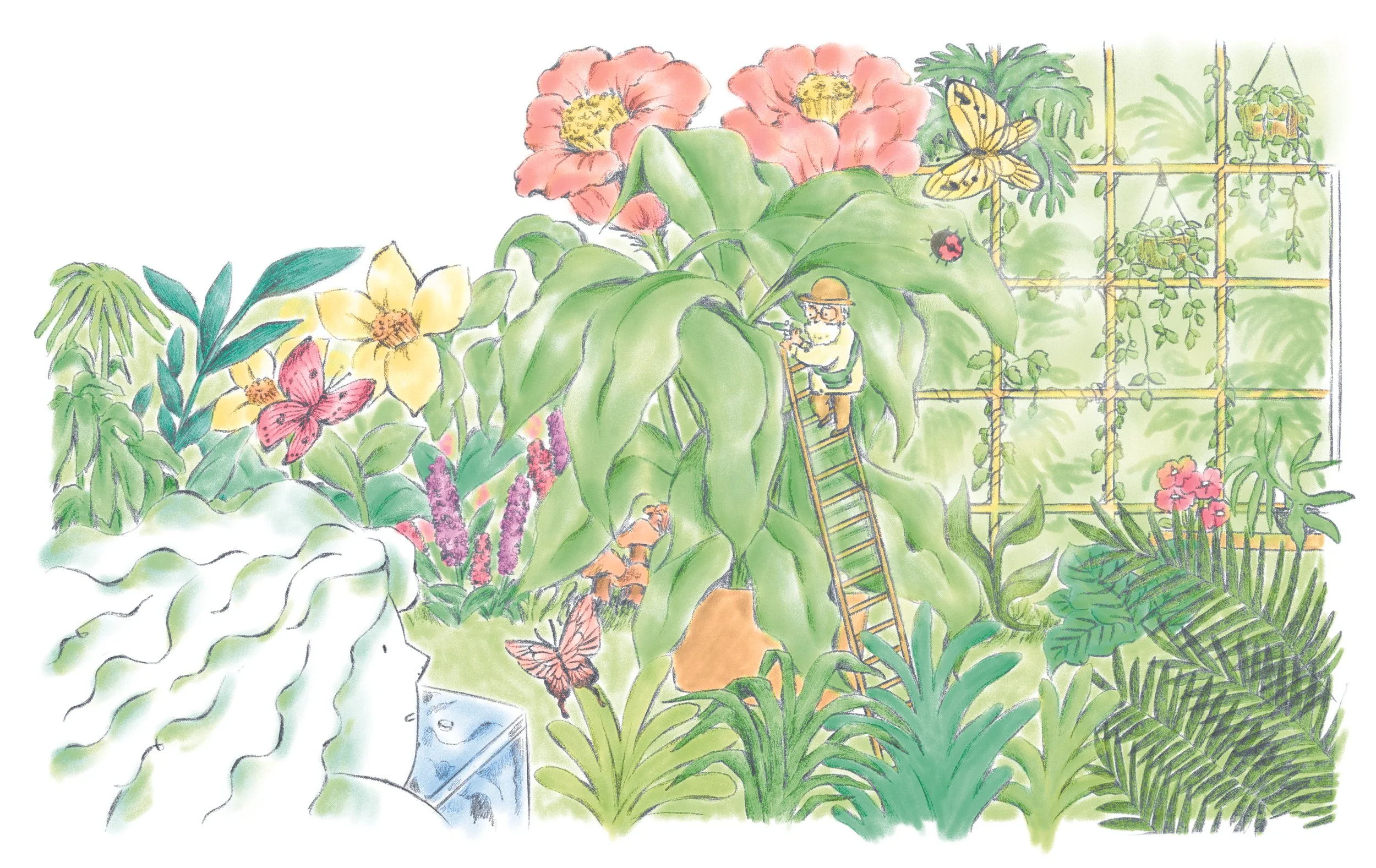 Website Portfolio_Treewoman 1_Choi.jpg