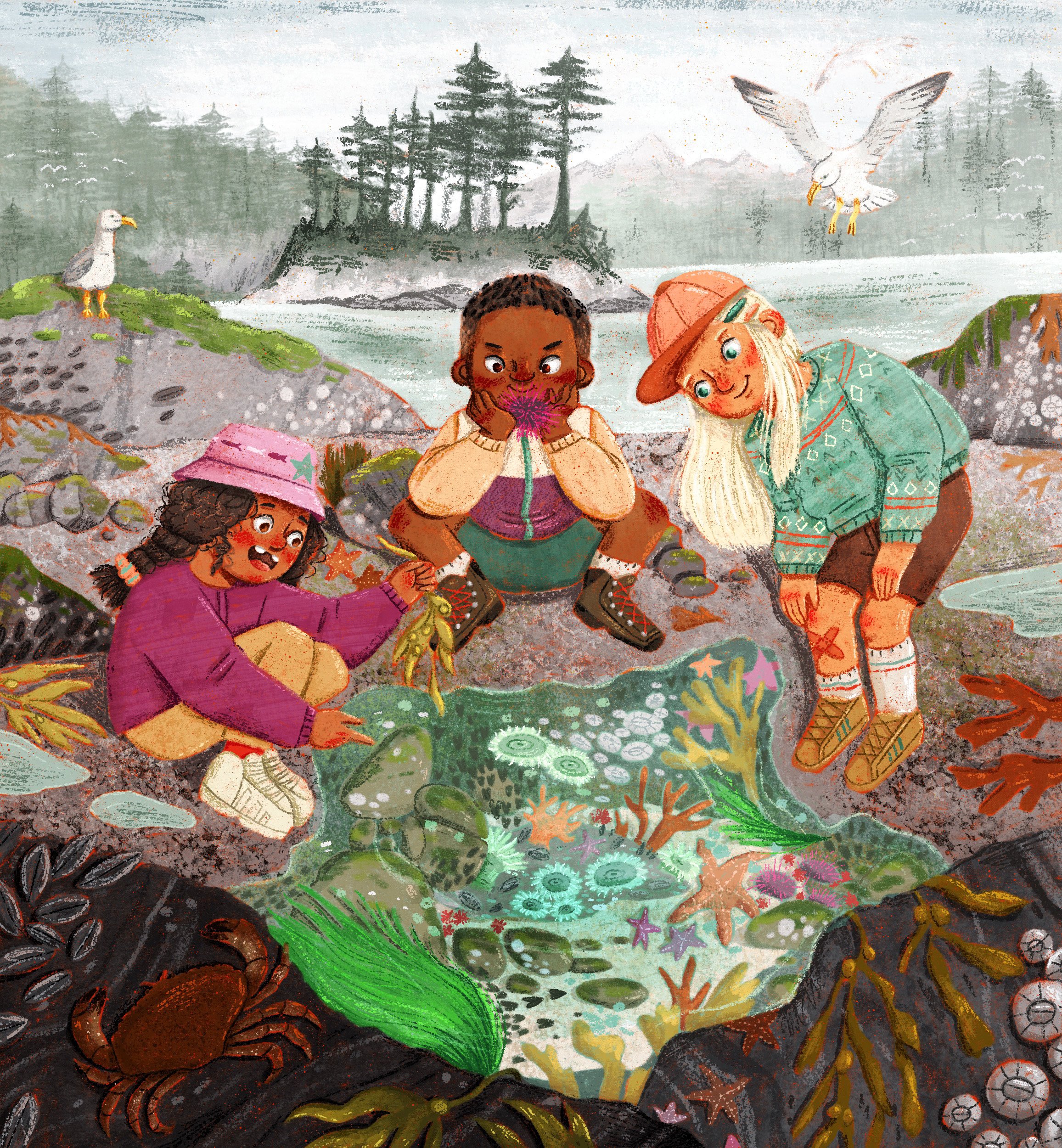 Tide pool shenanigans.jpeg