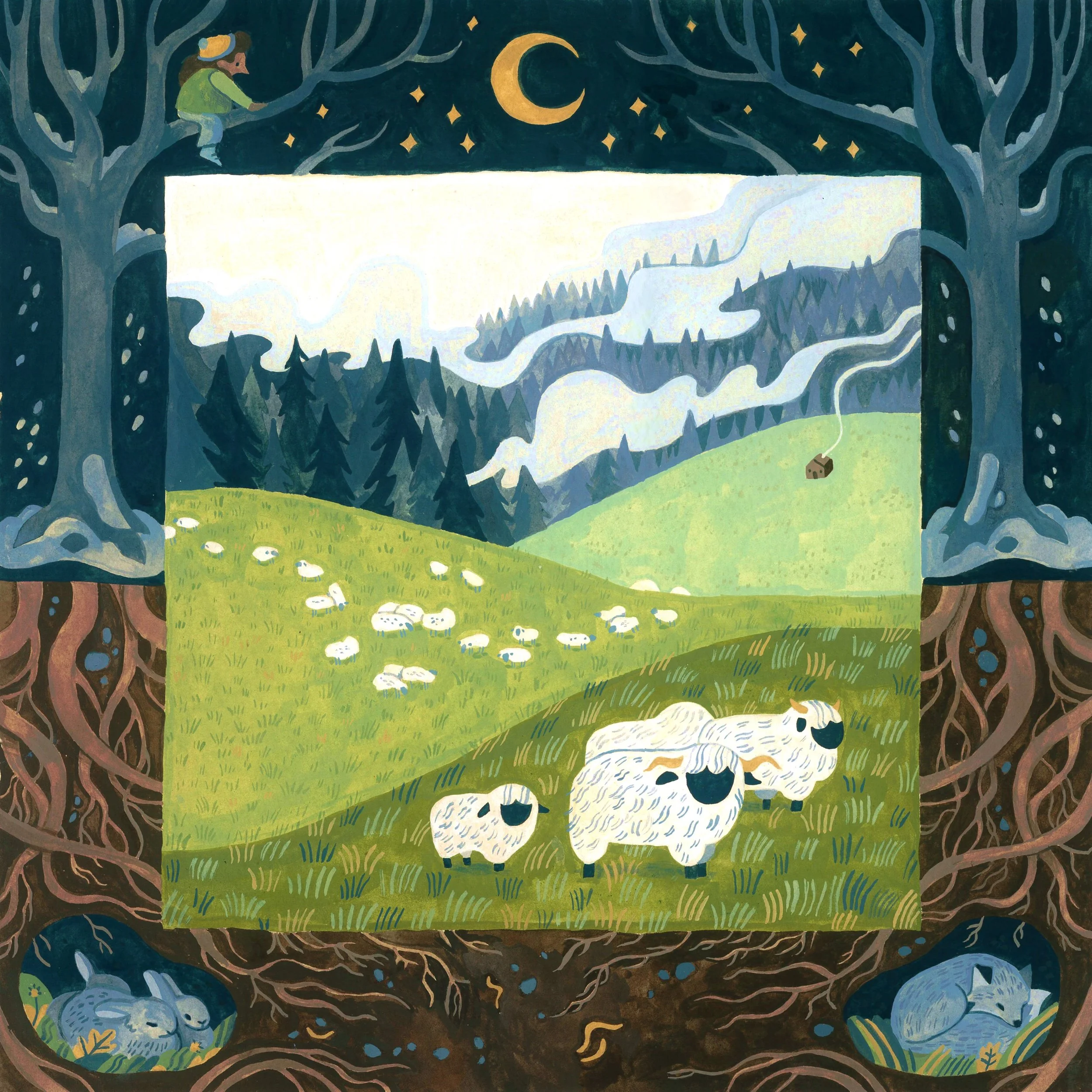 Sheep in January.jpg