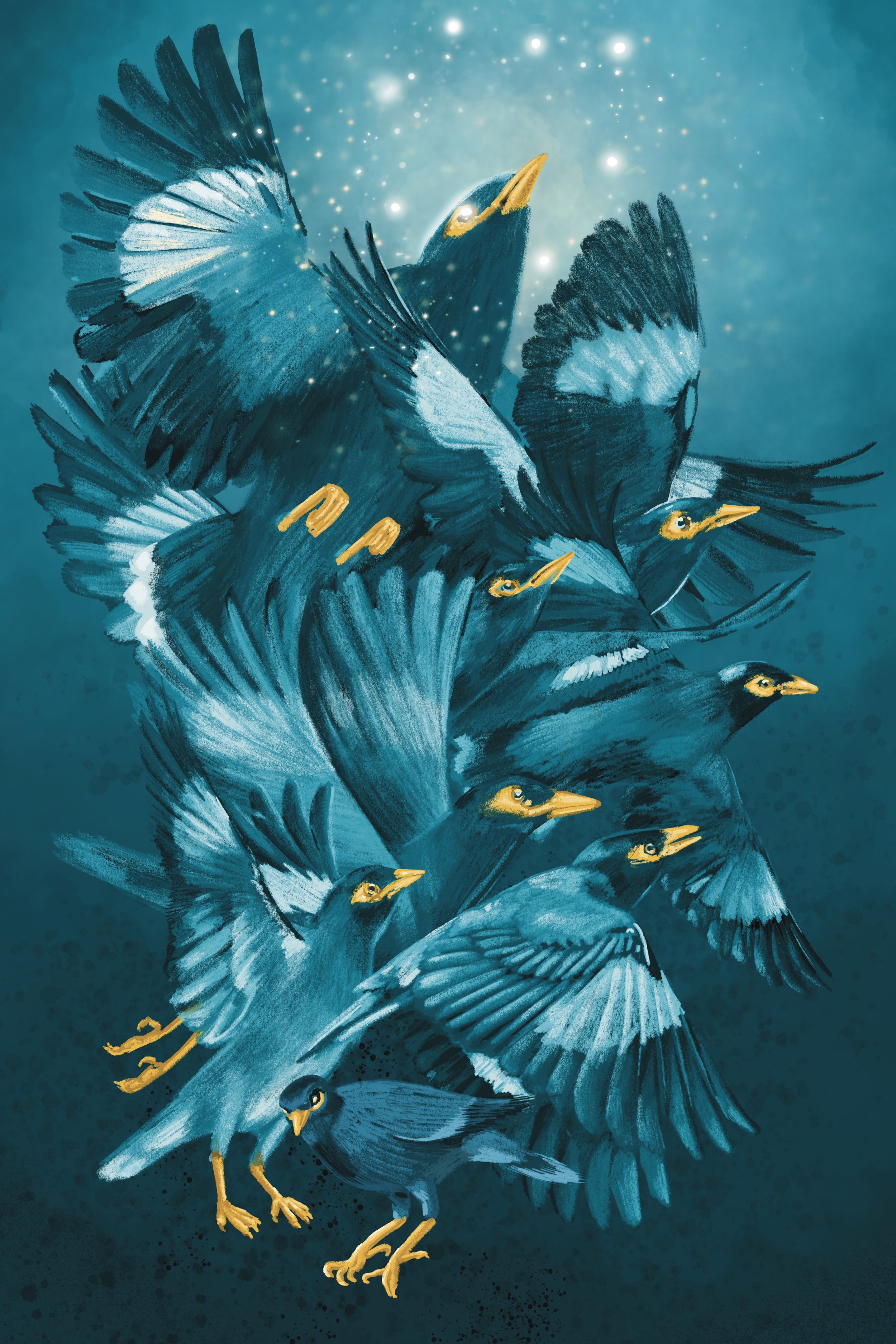 Mynah Litature