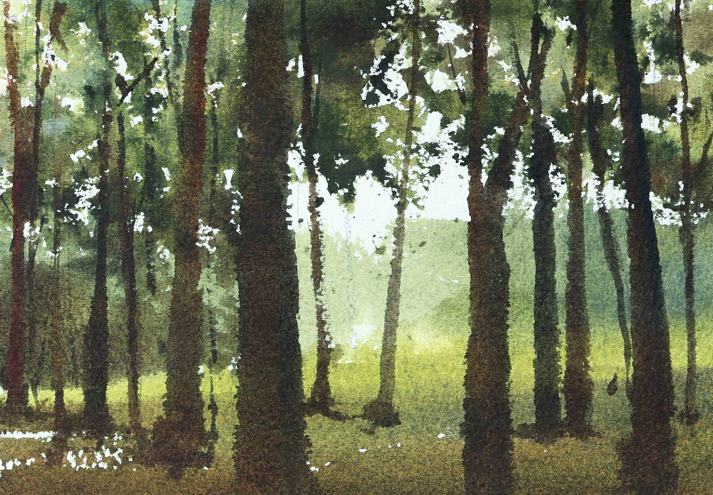 Pintura digital de un bosque con árboles altos y follaje denso, luz suave filtrándose entre las hojas.