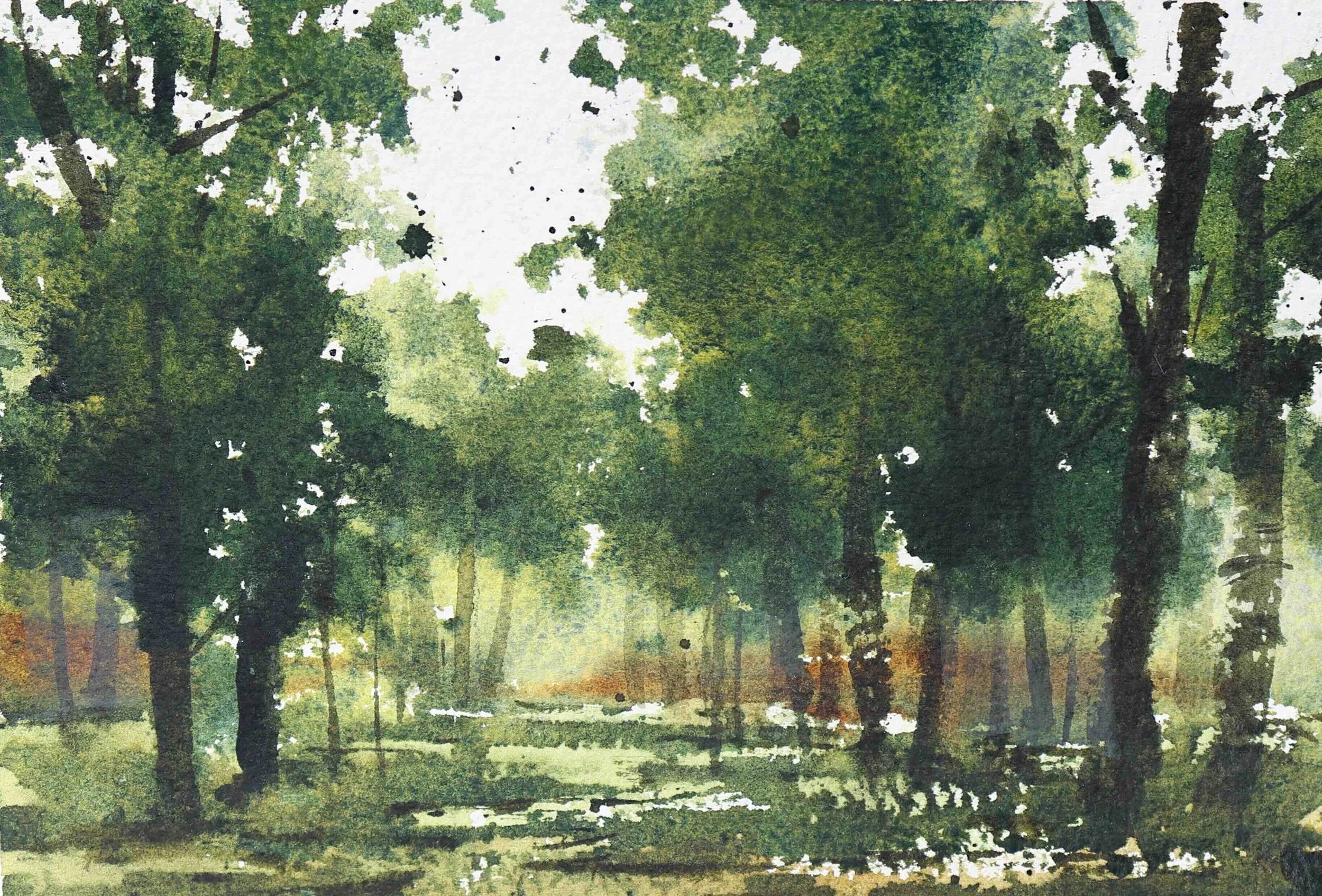 Paisaje de un parque con árboles verdes y un camino, pintado en estilo acuarela.