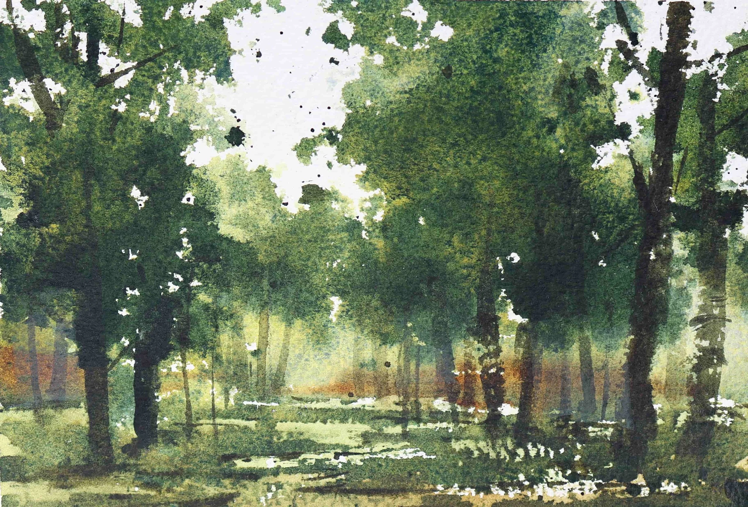 Pintura que representa un paisaje de árbol en un parque con césped y caminos, bajo un cielo despejado.