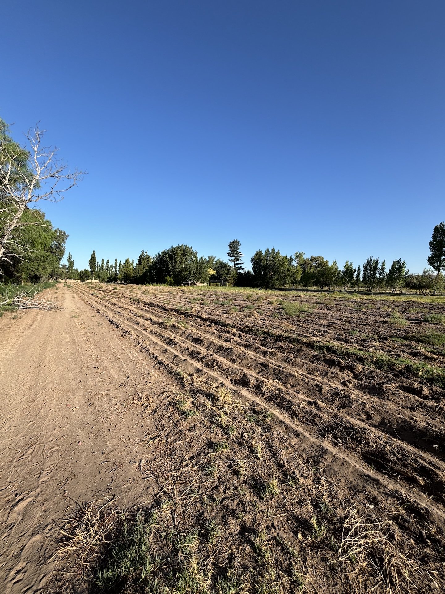 Fallen Branch Farm land