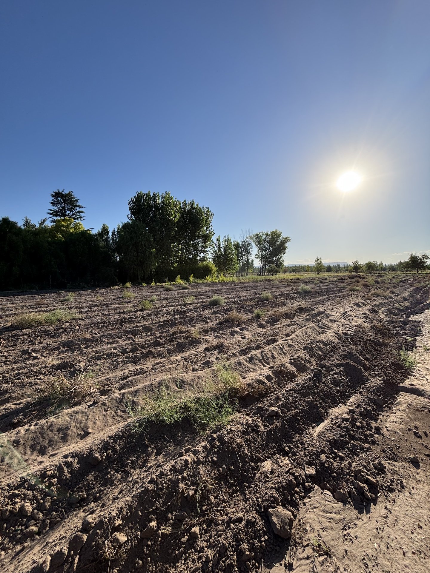 Fallen Branch Farm land