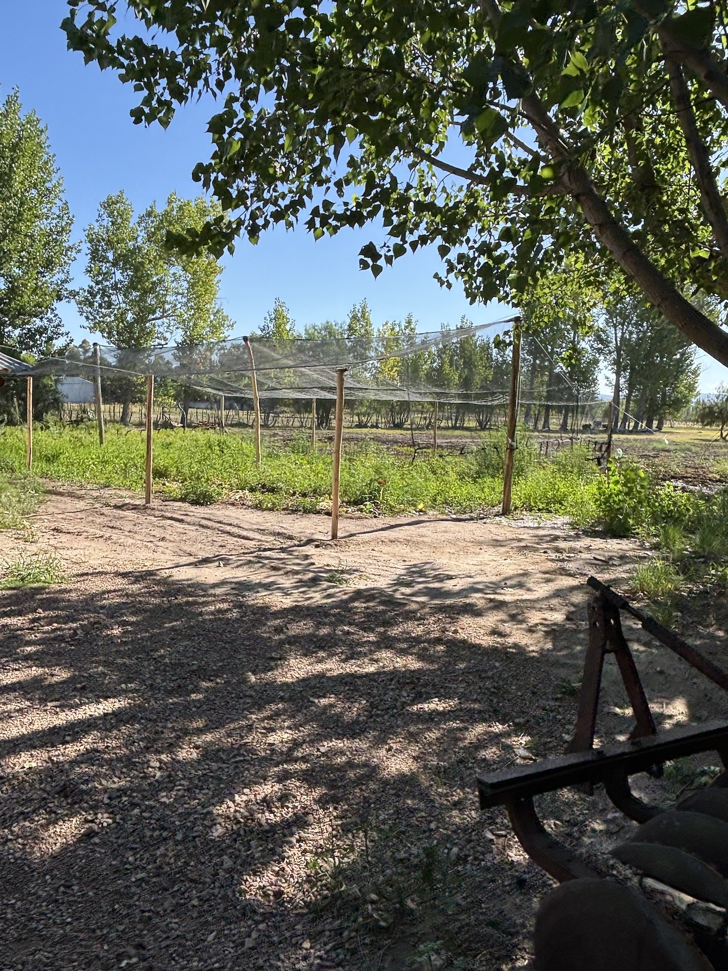 Argentina farm garden