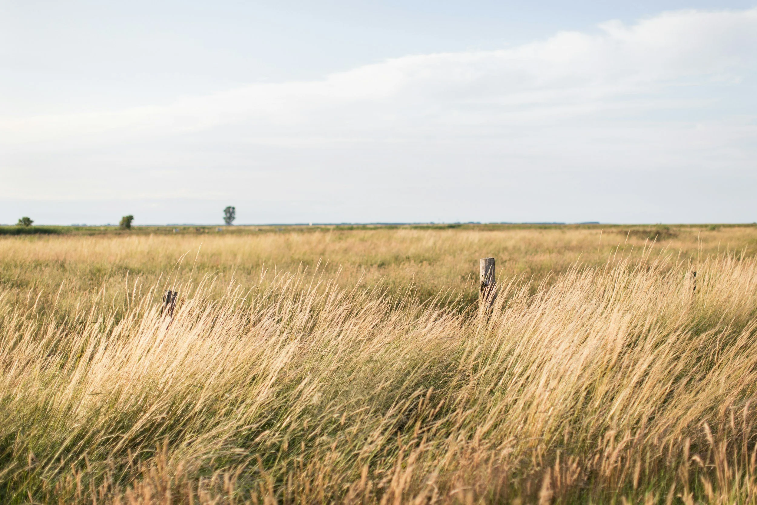 Acreage & Raw Land