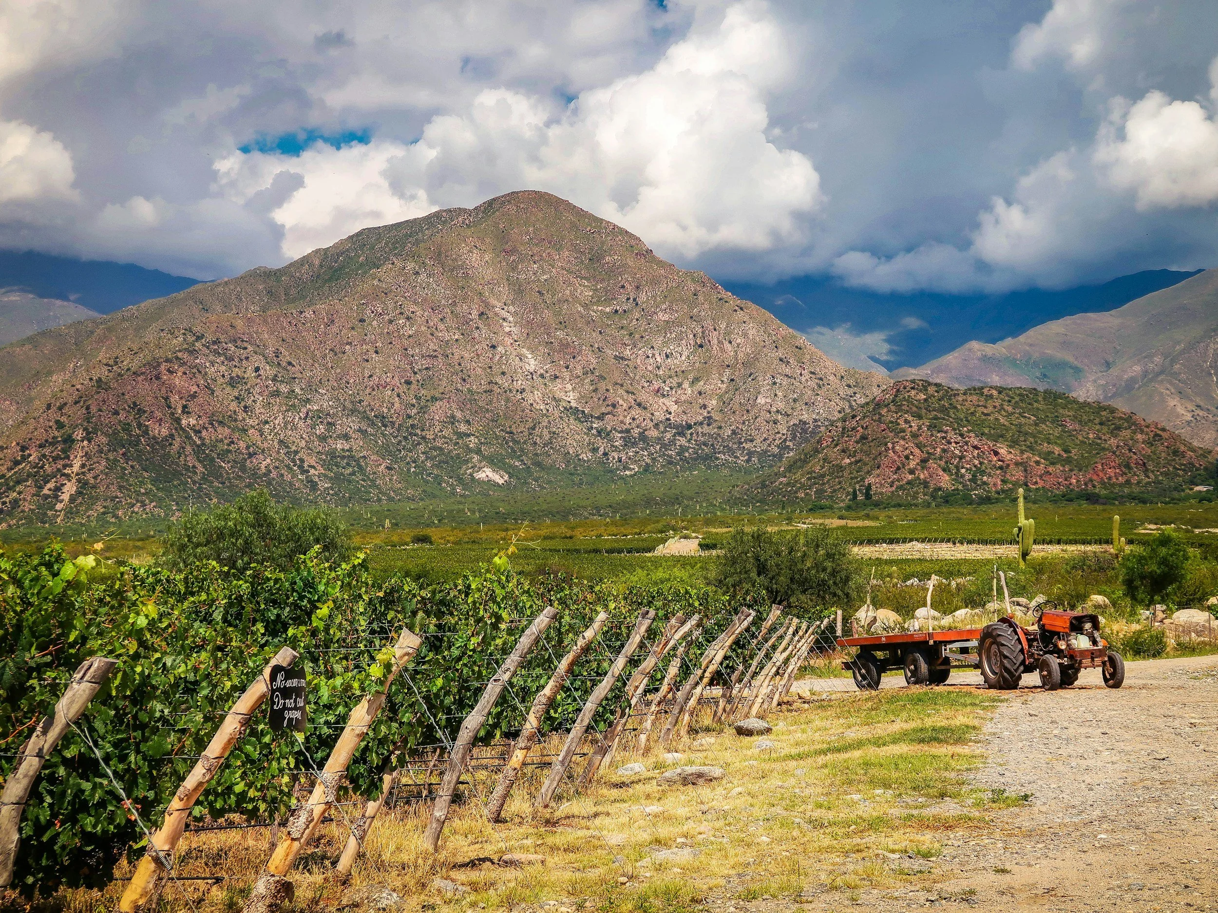 Scenic view of a vineyard with wooden posts, a parked tractor, and a backdrop of large mountains under cloudy skies.