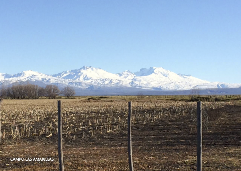 $750,000 USD-714 HECTARES in MALARGÜE, Mendoza: “Campo Las Amarillas”