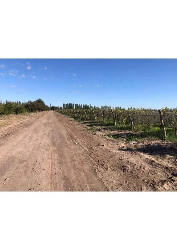 $1.9M USD-“Finca Doña Carmen”: 30 hectare farm with plums, quince, pears, and a variety of grapes in cultivation.