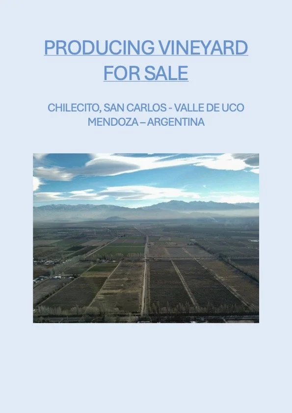 $970,000-“69 ACRE Farm with Vineyard in Chilecito, San Carlos, Mendoza, Argentina