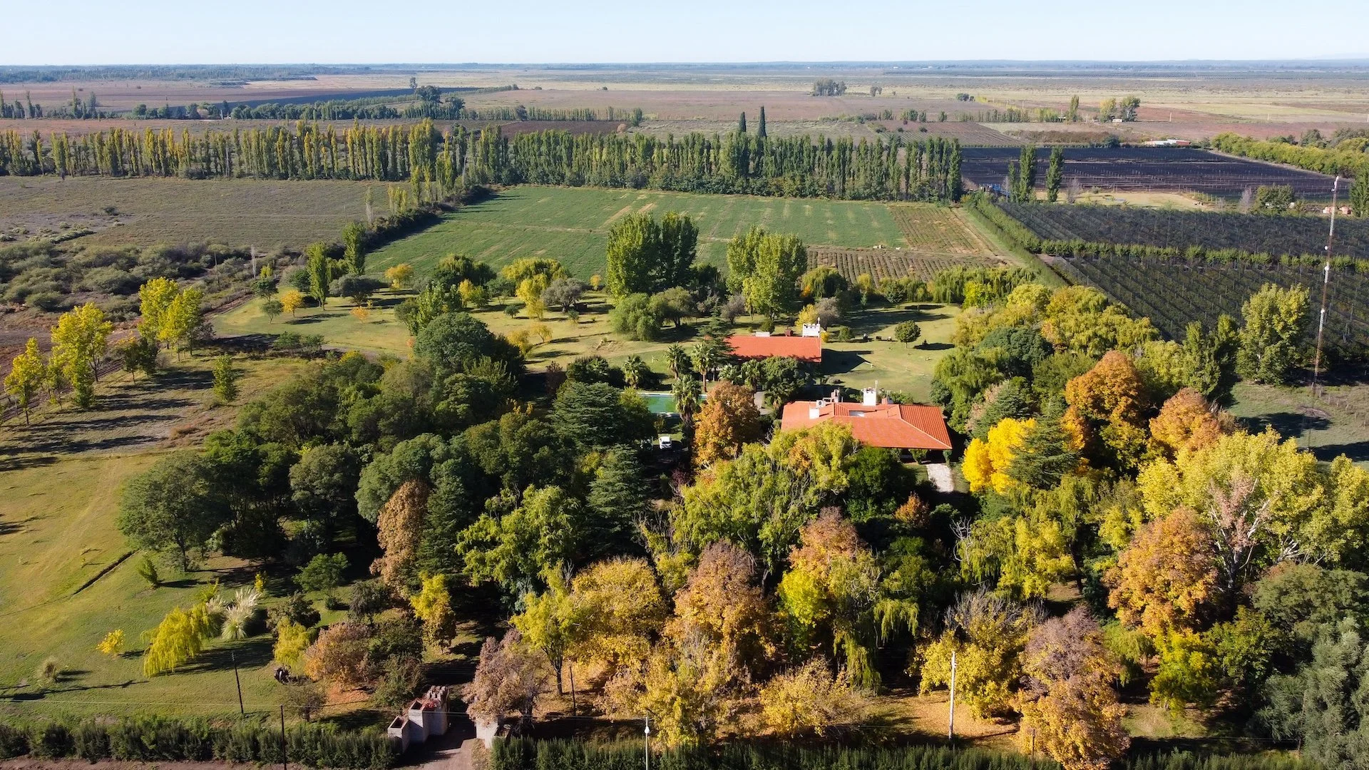 Aerial view of a rural landscape with a house and trees surrounded by fields and farmland.