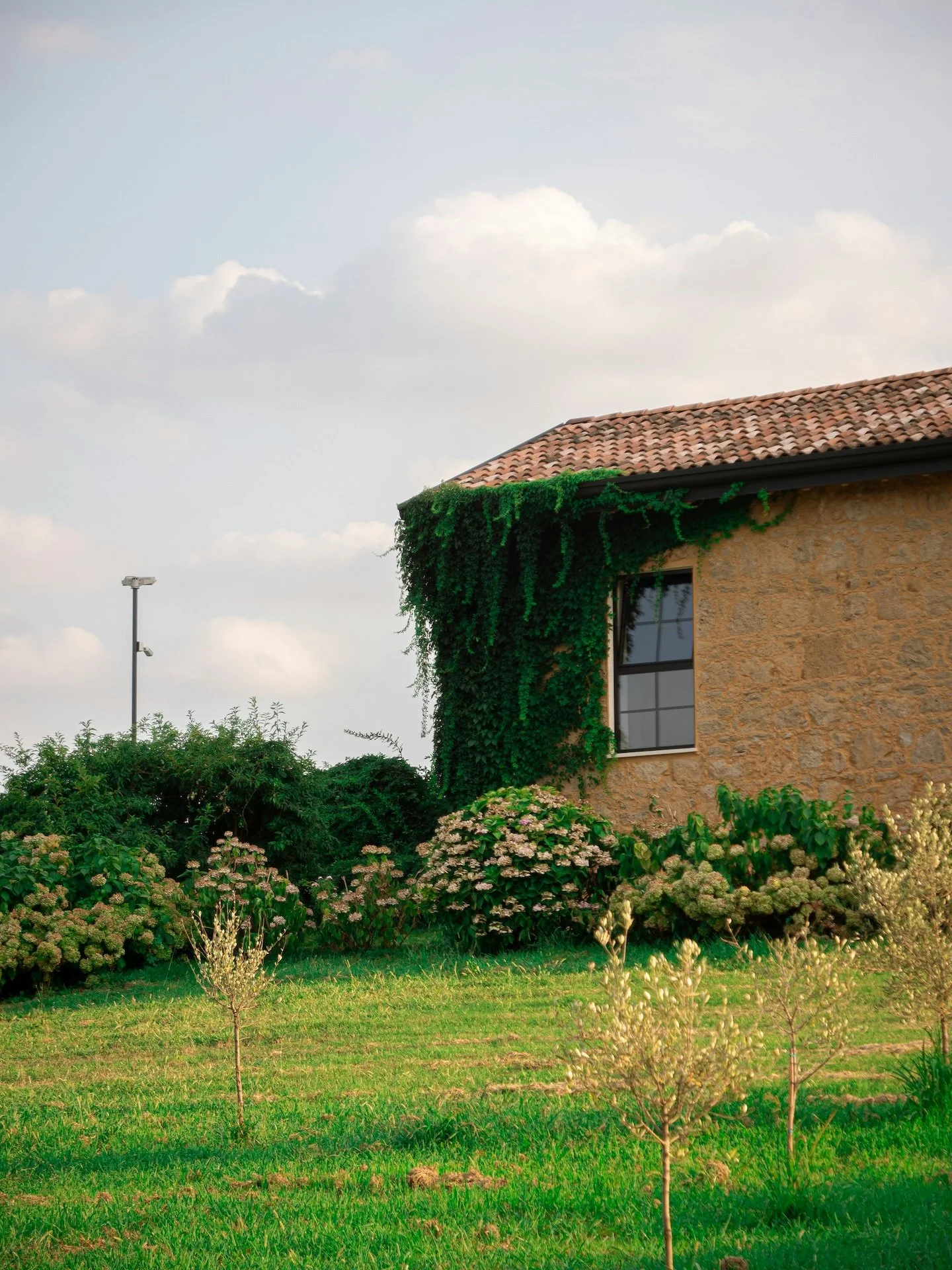 Argentina Estate with lush greenery