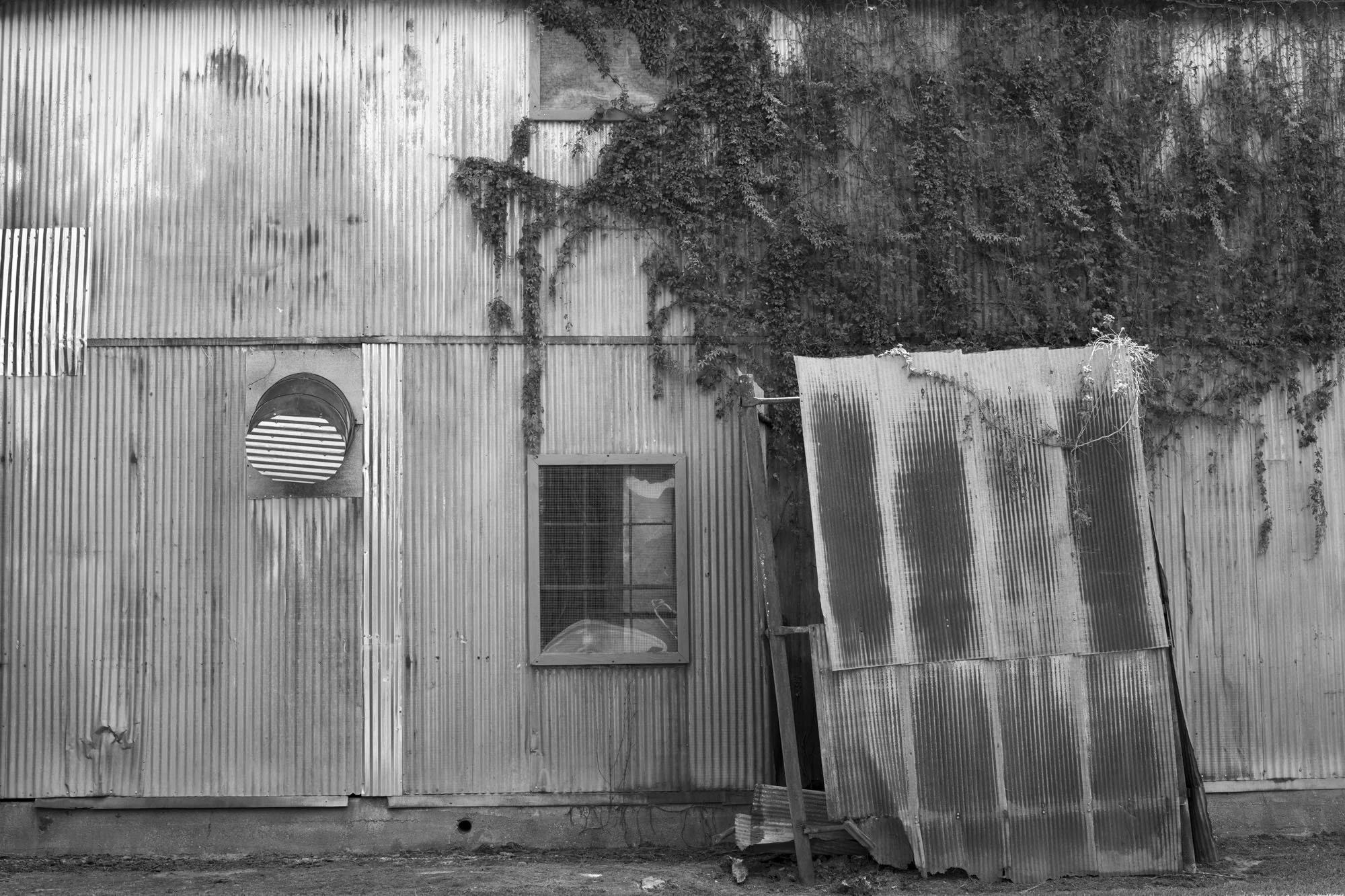 Gin, Ruleville, MS 2024