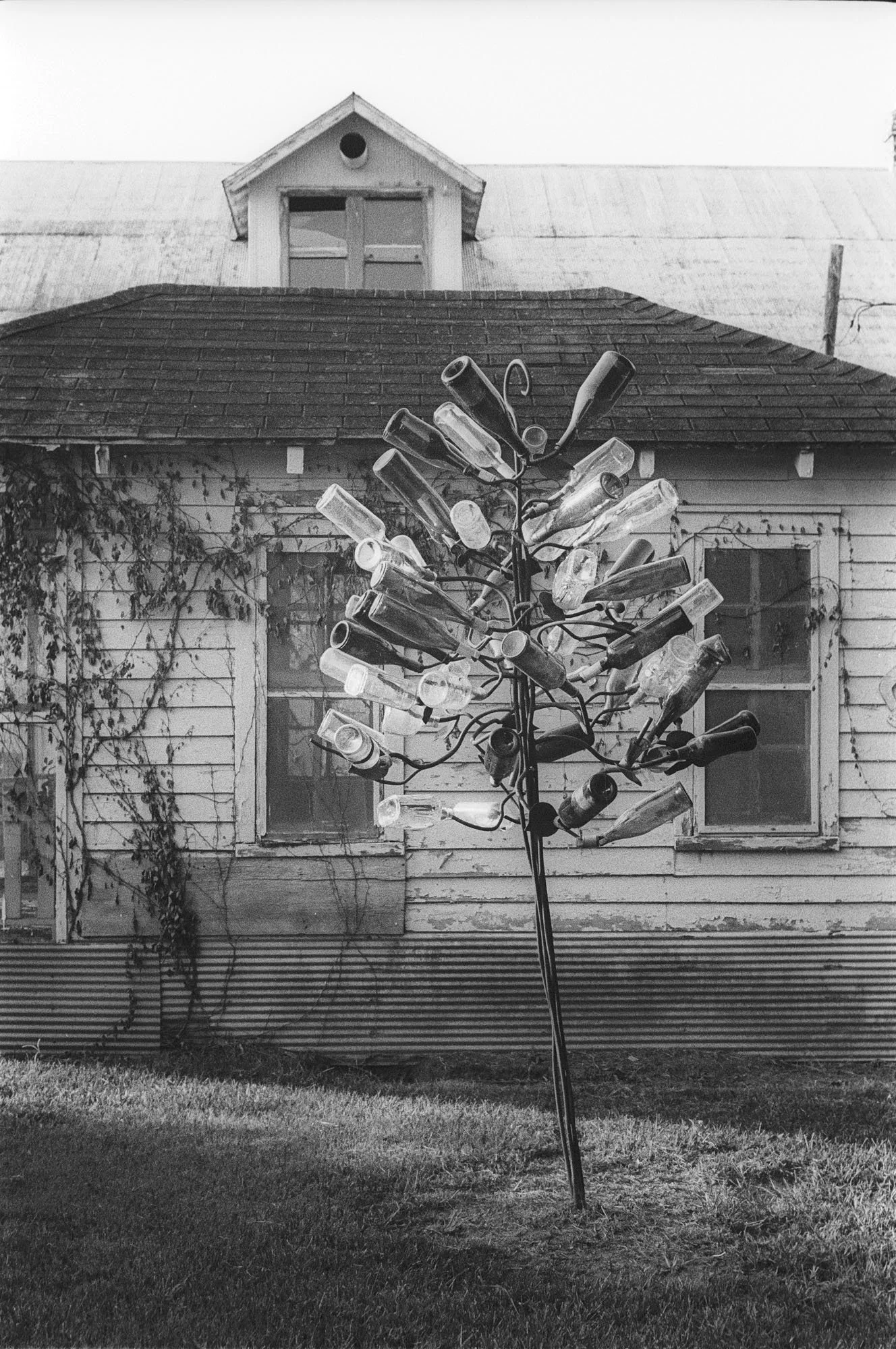 Bottle Tree, Clarksdale, MS 2024