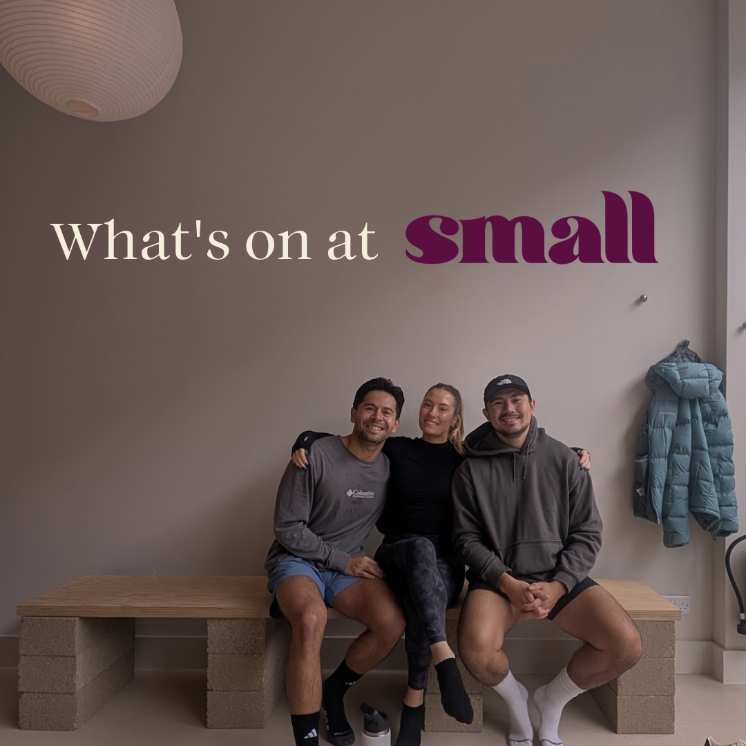A promotional image with large text that reads "Introducing: small Term Classes & small Courses" and features three smiling people sitting on a wooden bench in a minimalist room with a hanging paper lantern and a coat rack with jackets, suggesting a casual and friendly learning environment.