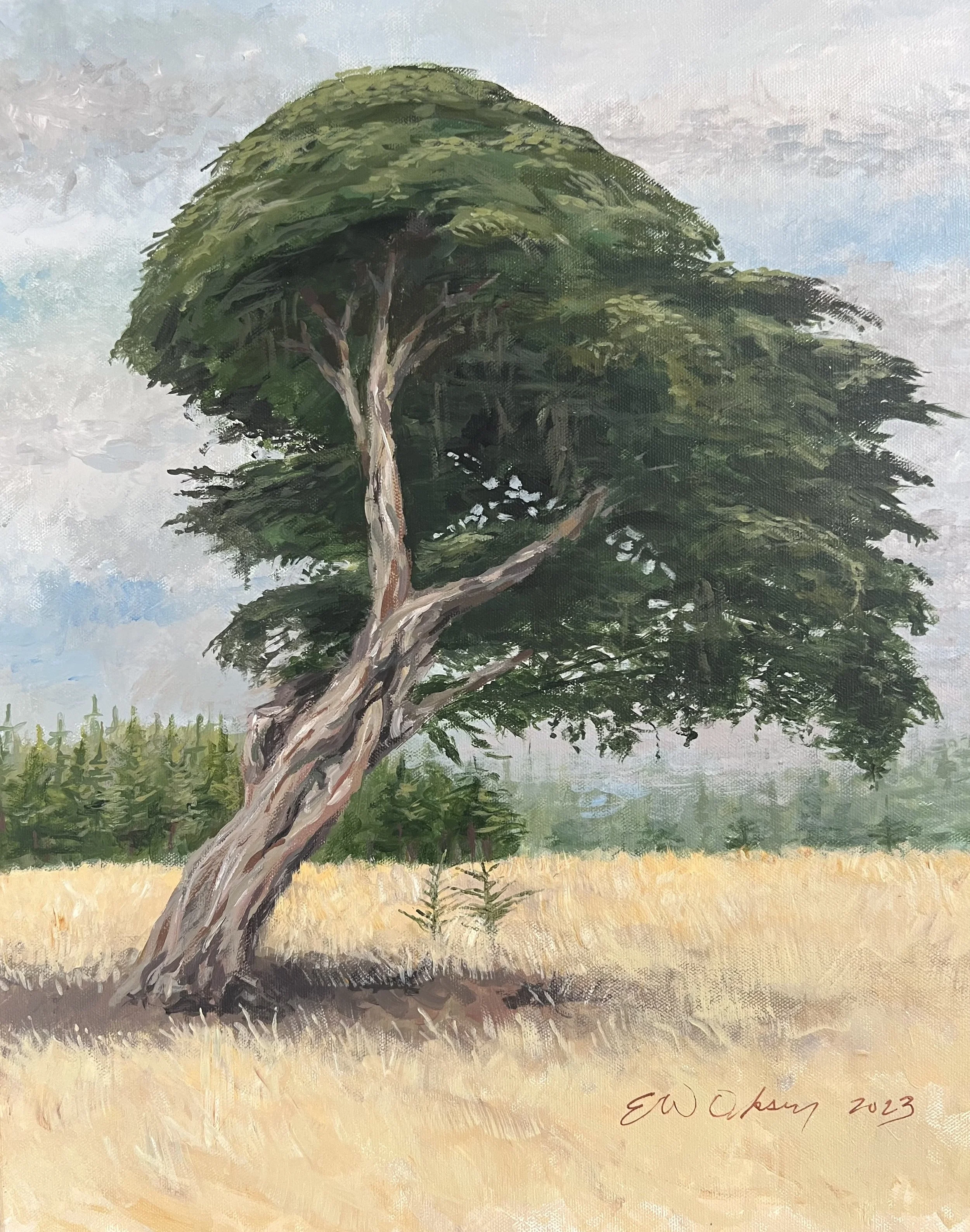 Lean into the Wind, Cambria, Calif.
20x16 acrylic on canvas, framed
$350.00