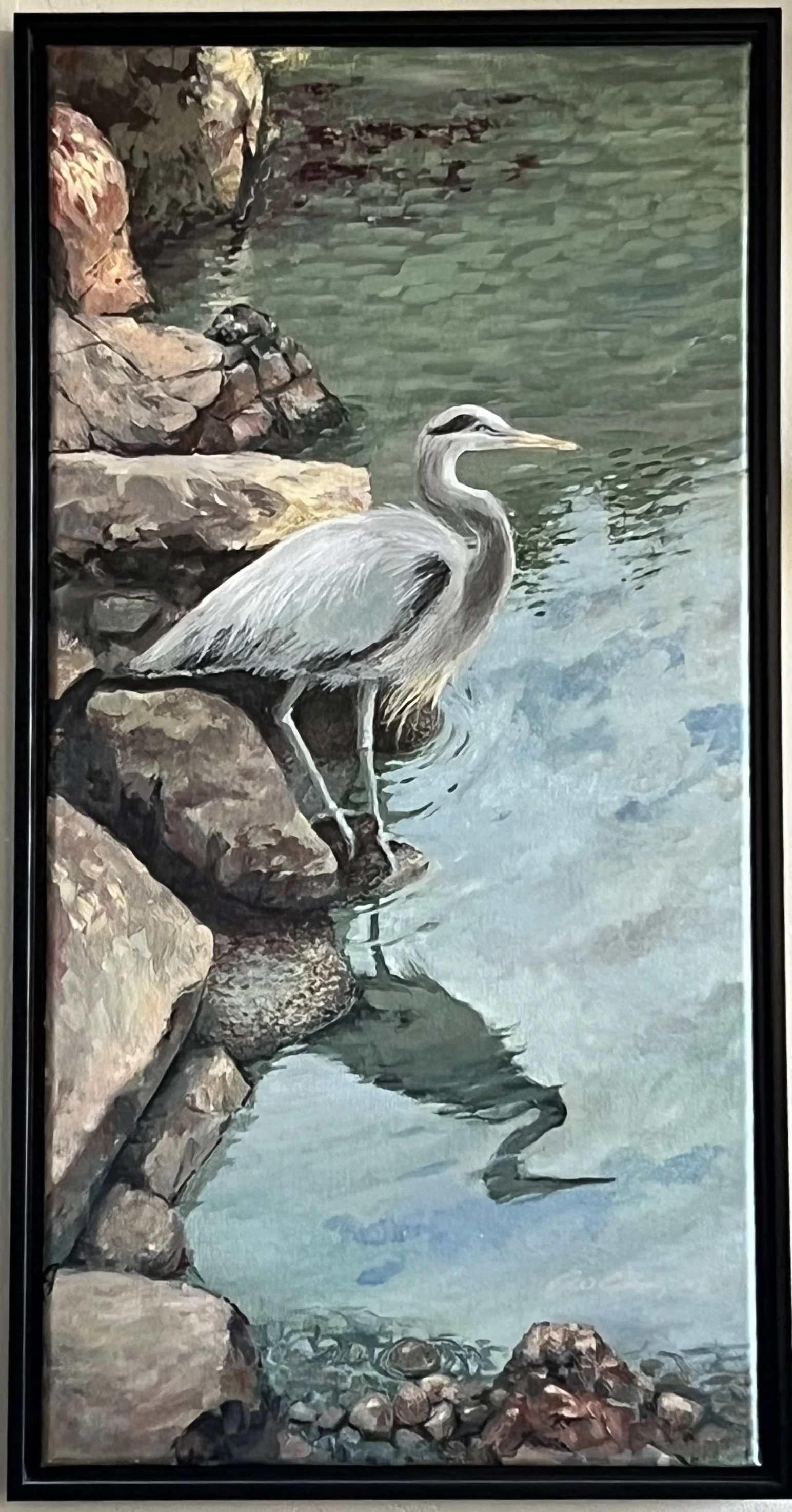Reflecting Heron, Morro Bay, Calif.
30x15 acrylic on canvas, framed
$750.00