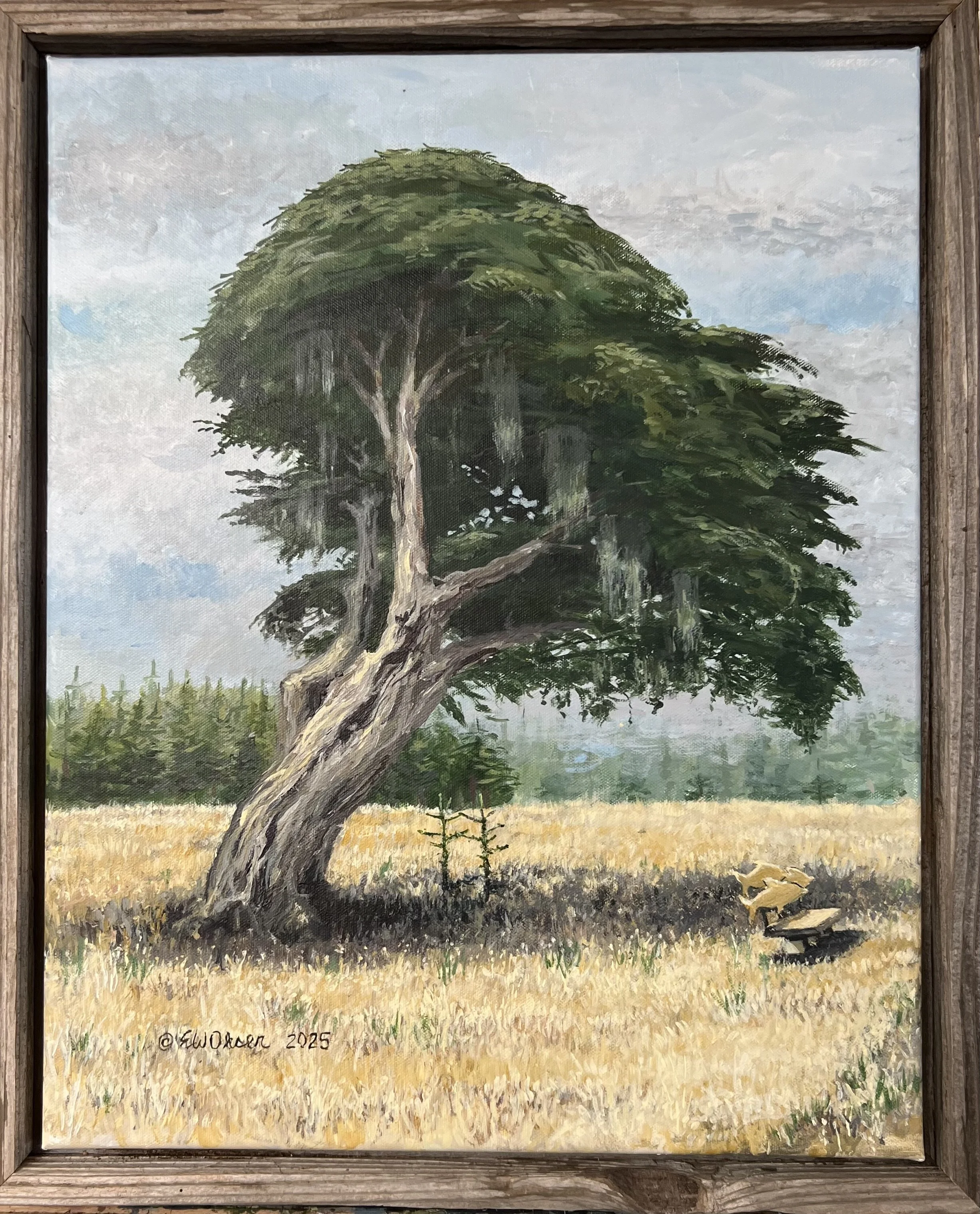 Shade Along the Trail
20x16 Acrylic on Canvas, Framed
$350.00