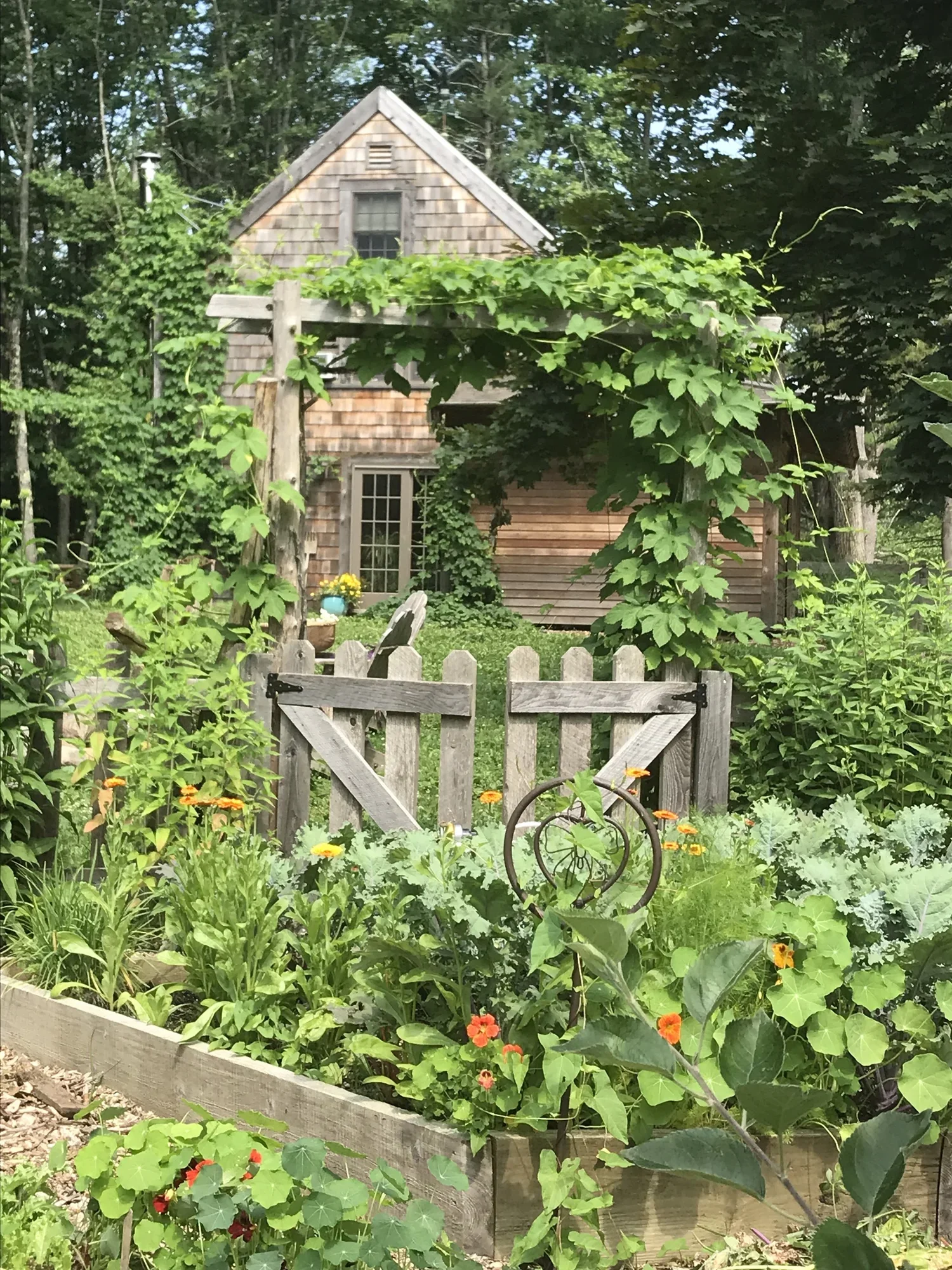 Barn+in+the+summer.webp
