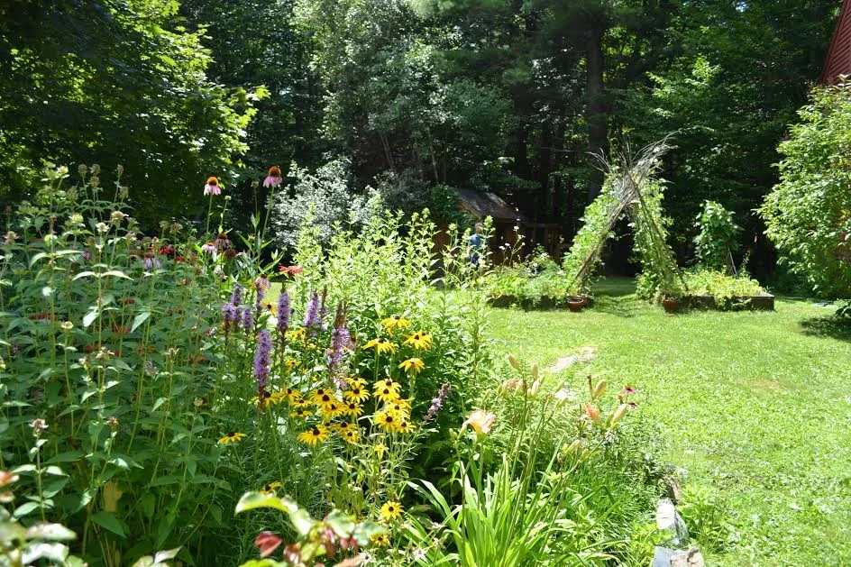 unnamed-2.webp