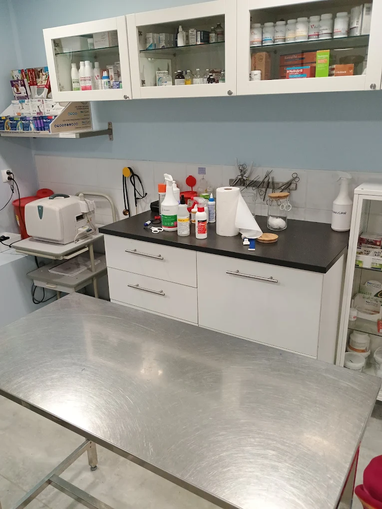 Gabinet lekarski (weterynaryjny) ze stołem ze stali nierdzewnej, białymi szafkami ze szklanymi drzwiami, w których znajdują się leki, oraz blatem z różnymi materiałami medycznymi, w tym butelkami, ręcznikami papierowymi i narzędziami medycznymi.
