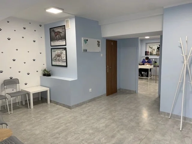 weterynarz Poznań os. Czecha - gabinet weterynaryjny, poczekalnia dla naszych klientów