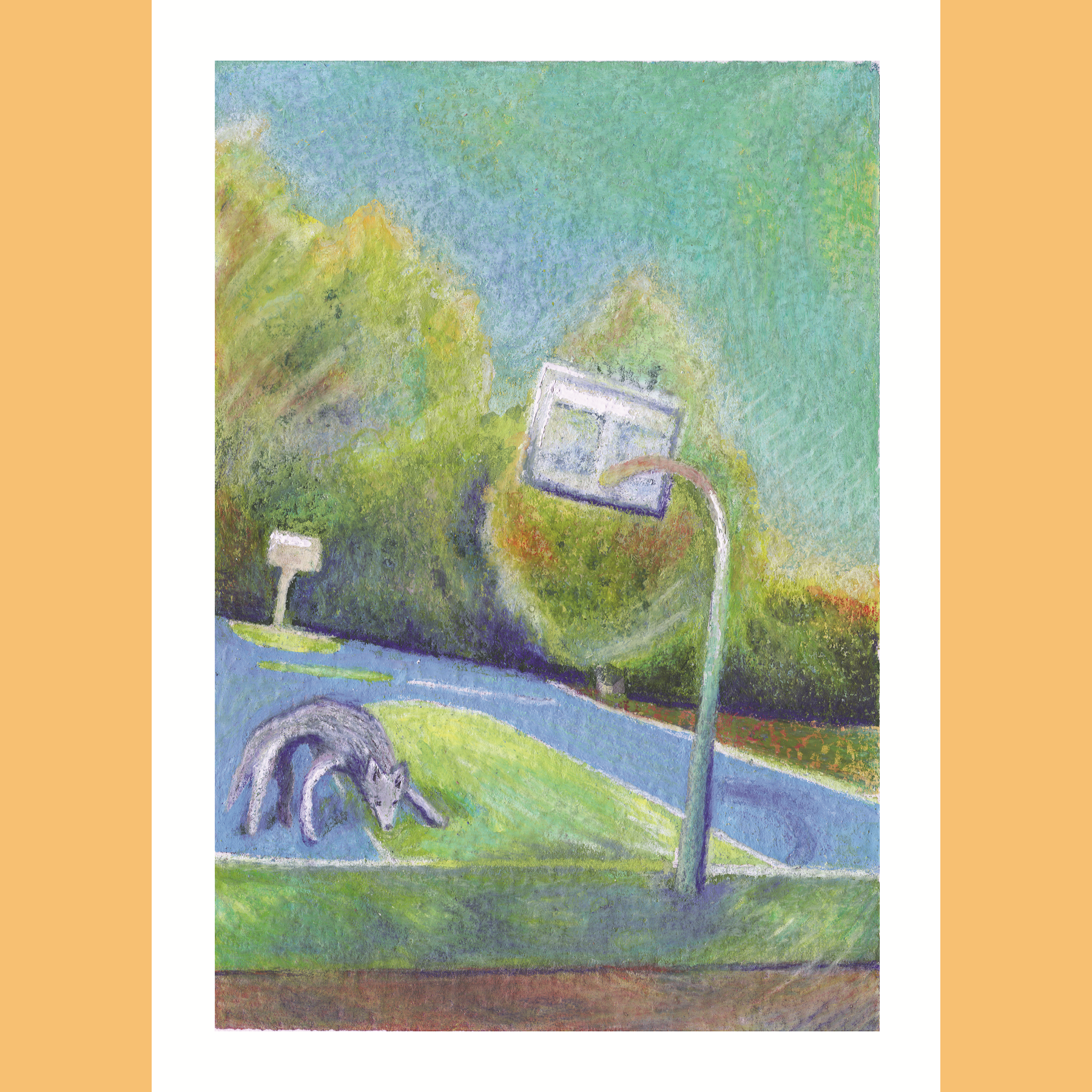 Wolves Where They Shouldn't Be: Basketball Court