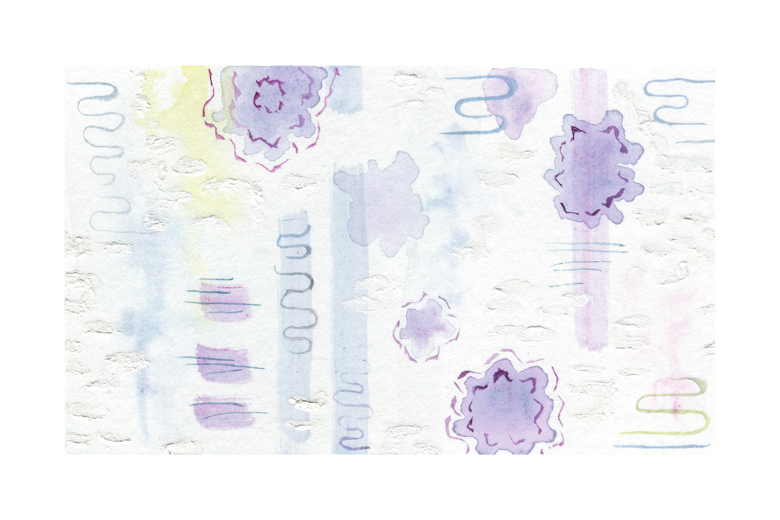 Protozoa